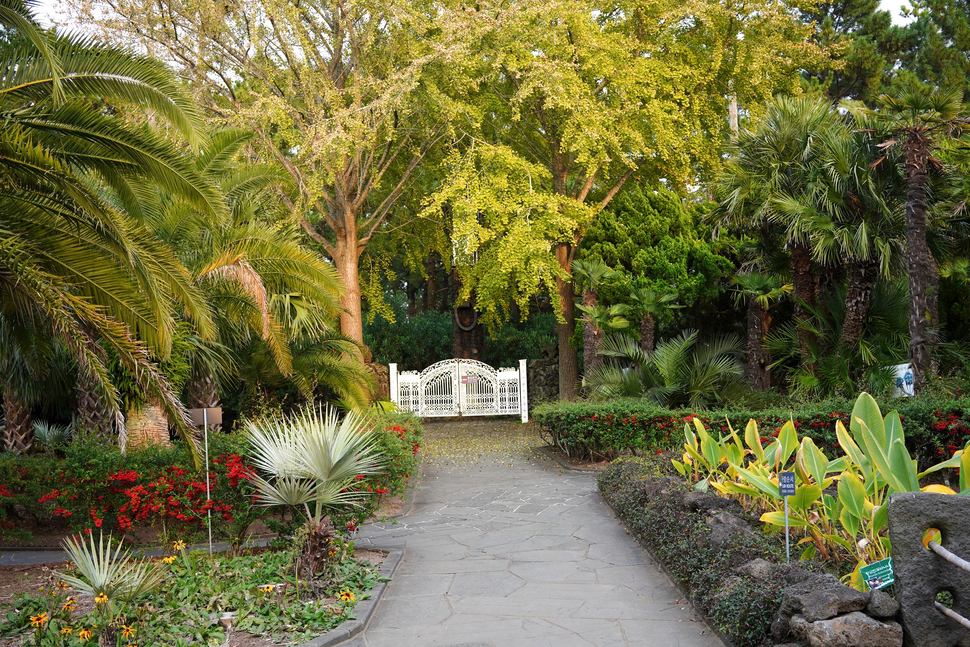 Jeju 18 (90)