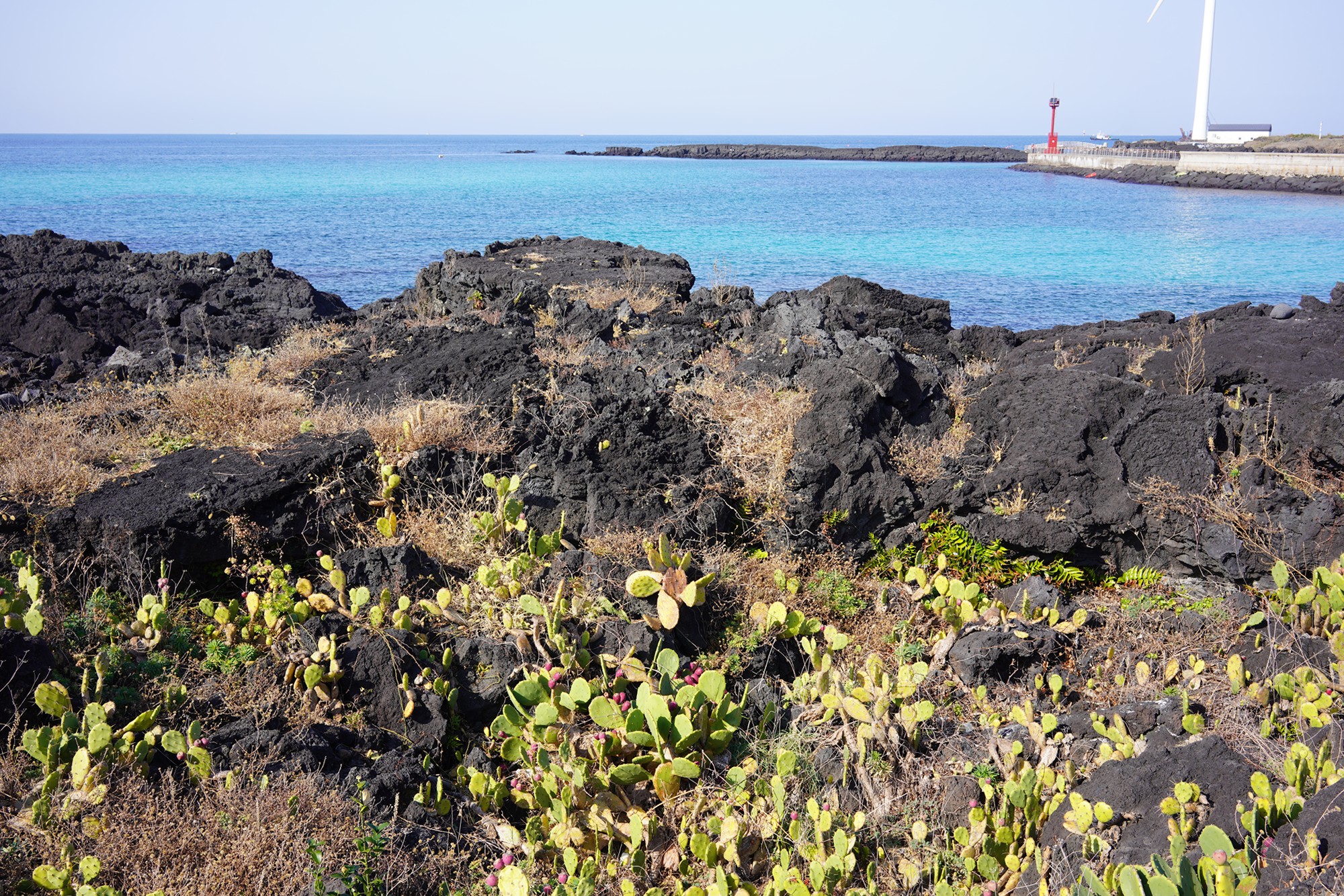 Jeju 20 (10)