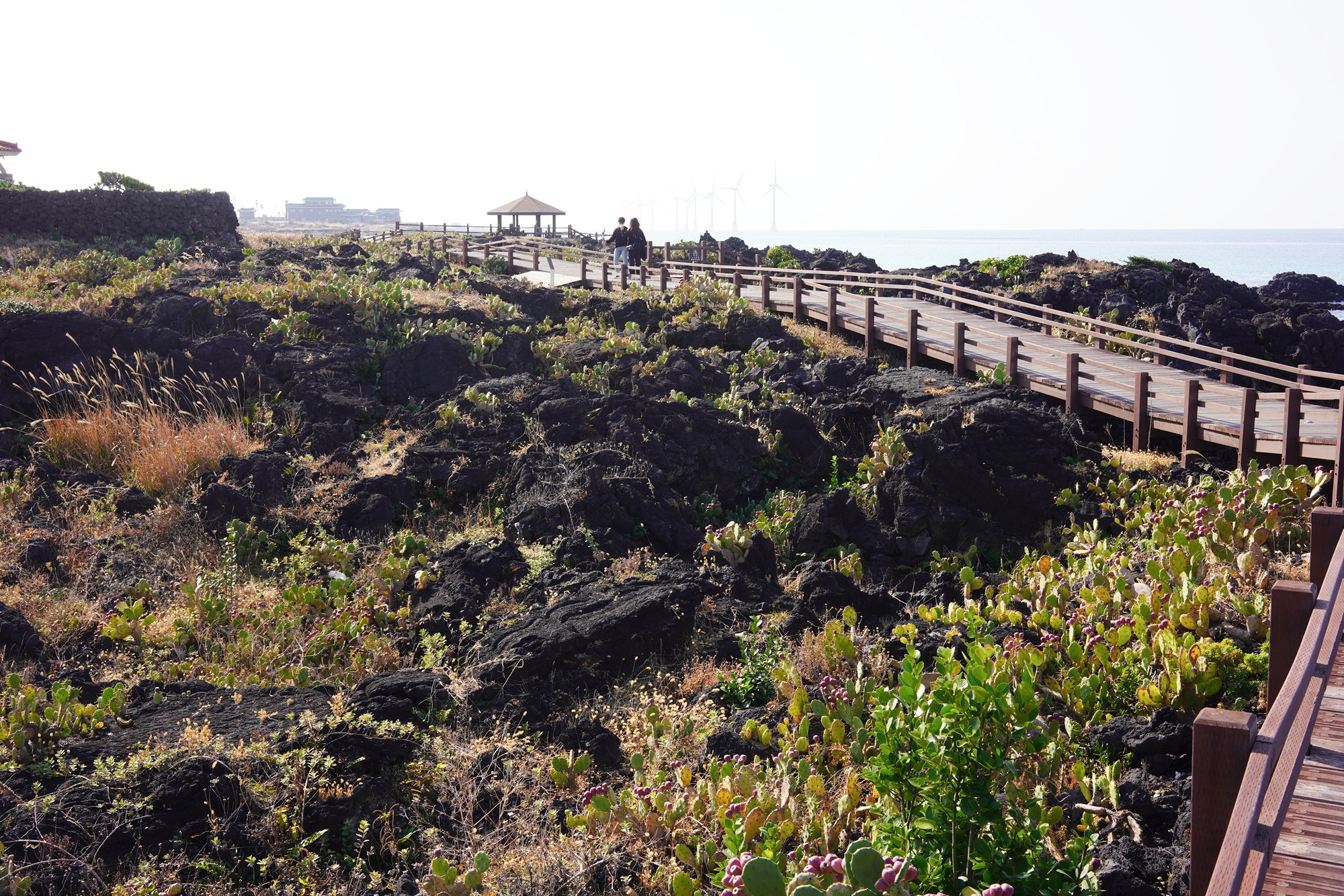 Jeju 20 (12)