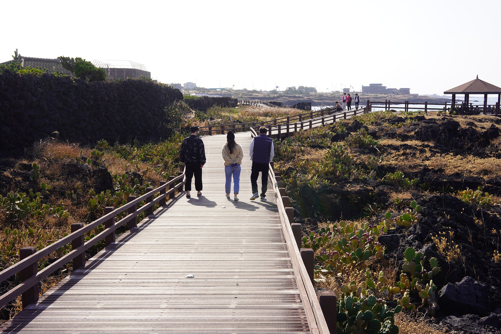 Jeju 20 (15)