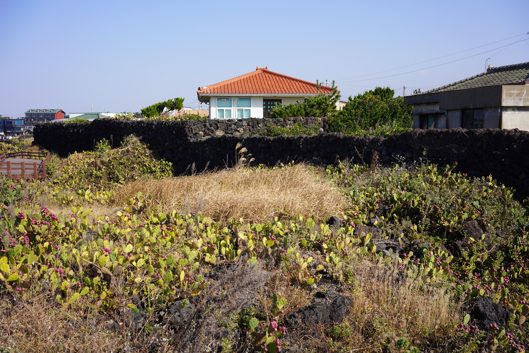 Jeju 20 (16)