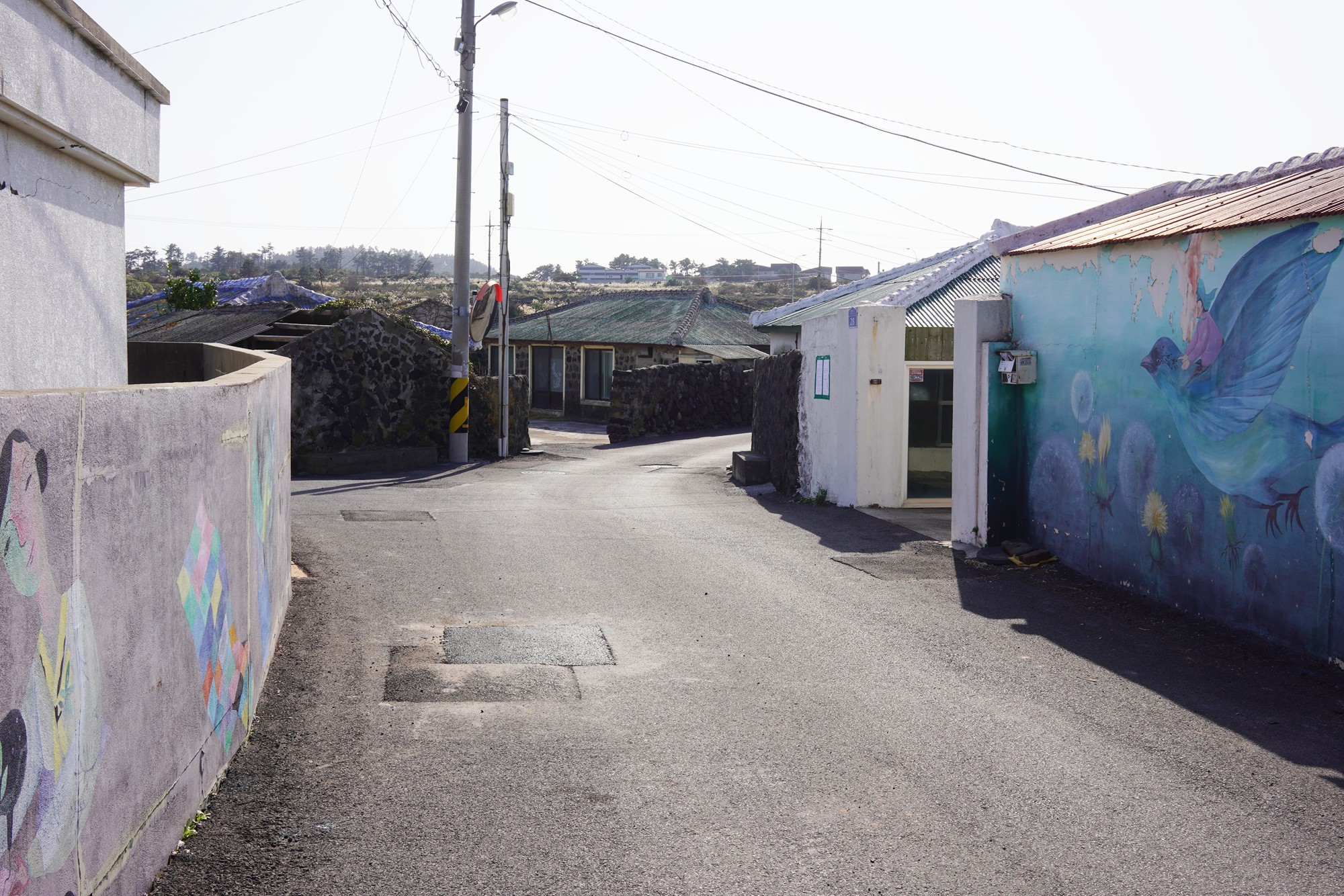 Jeju 20 (19)