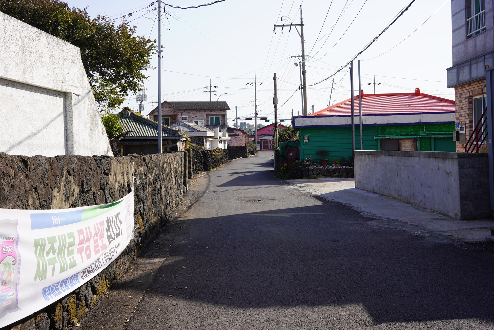 Jeju 20 (21)