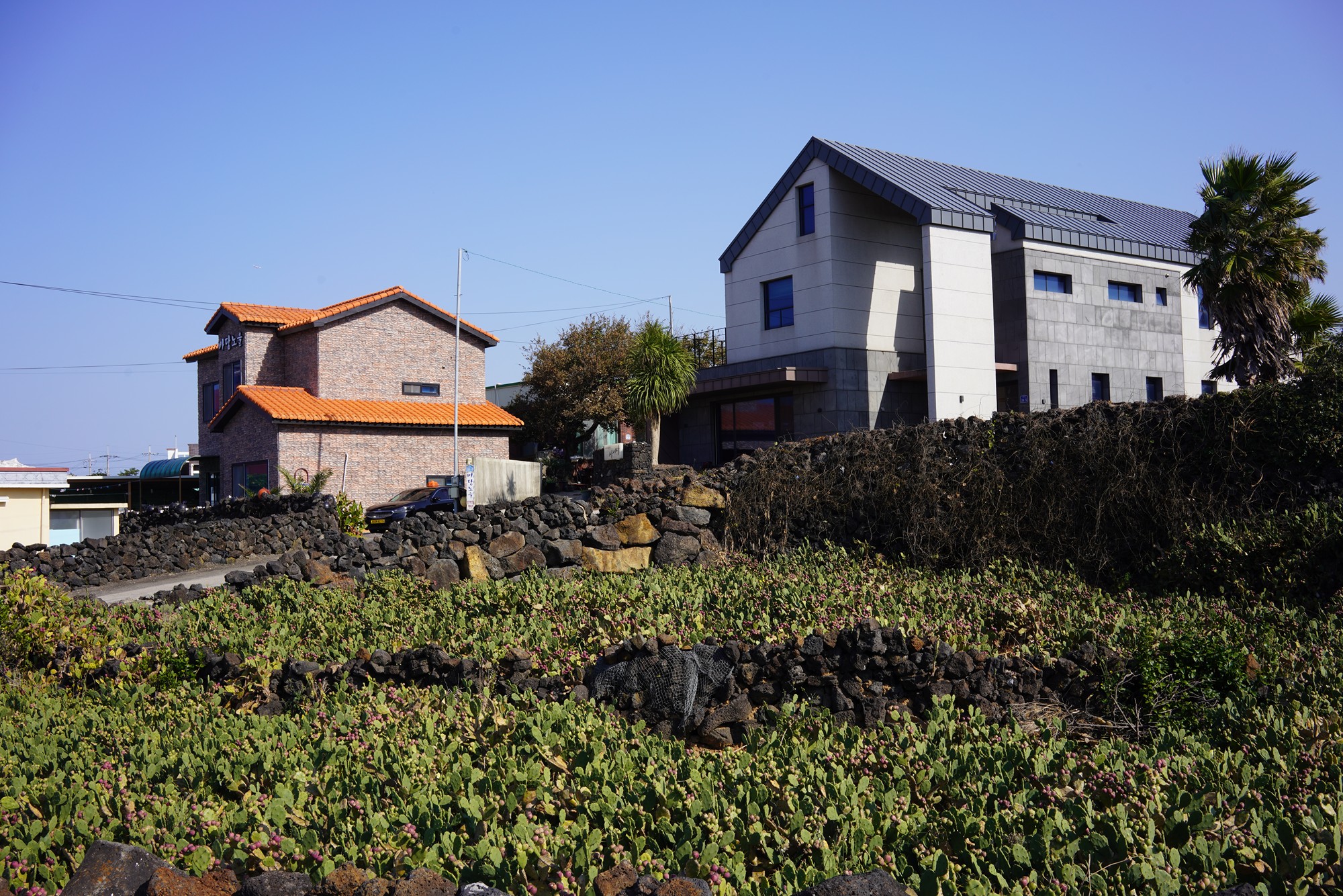 Jeju 20 (5)