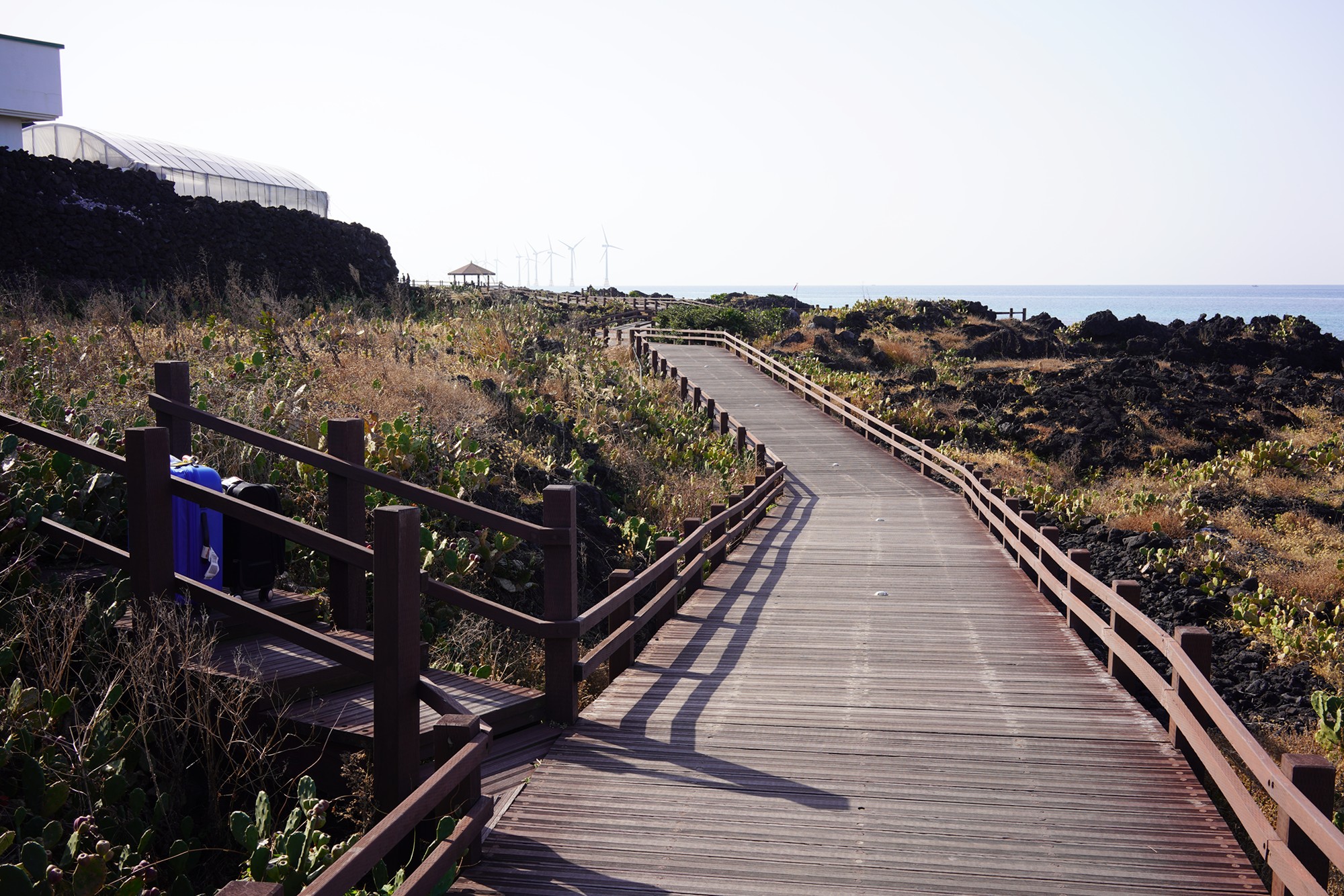 Jeju 20 (9)