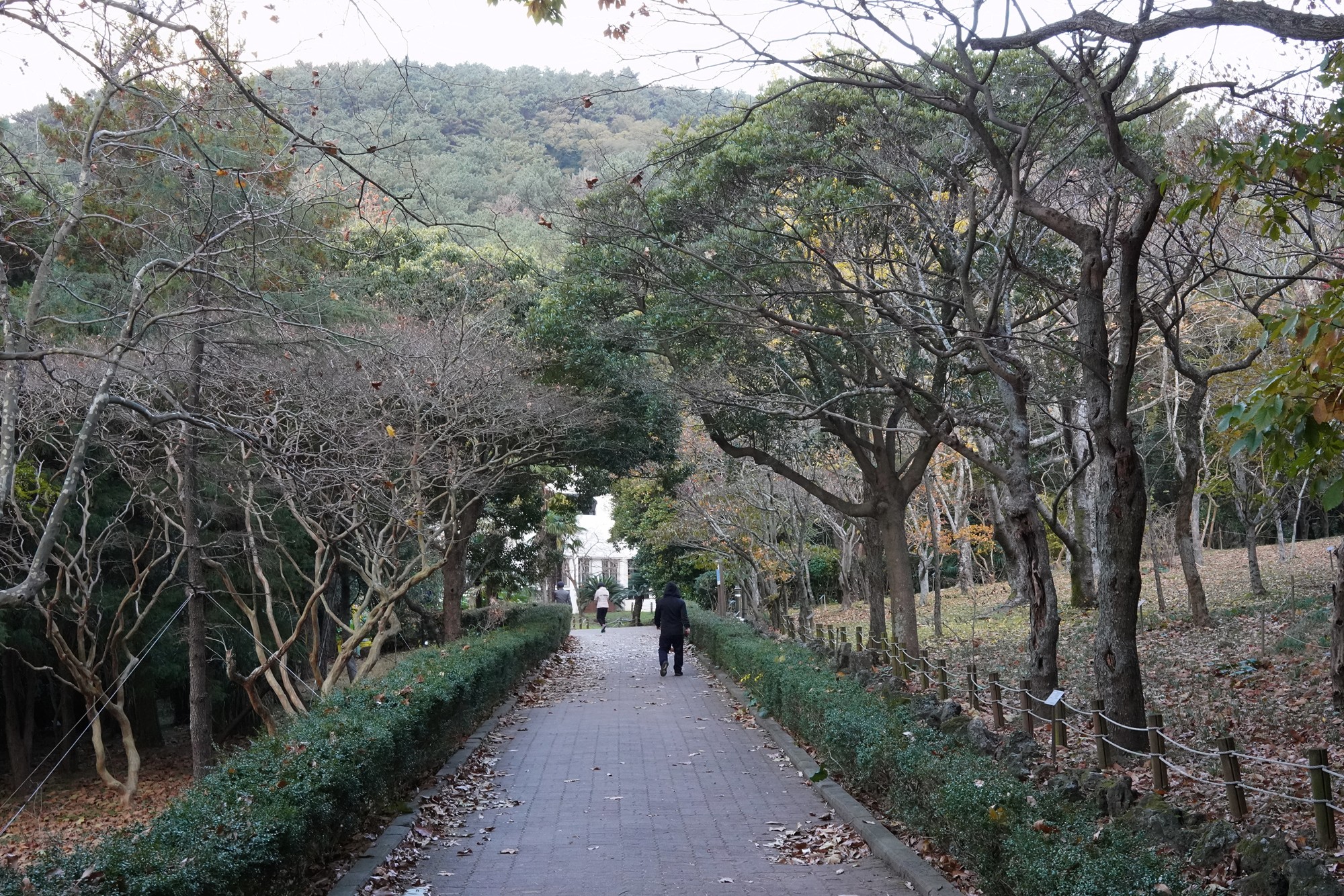 Jeju 23 (61)