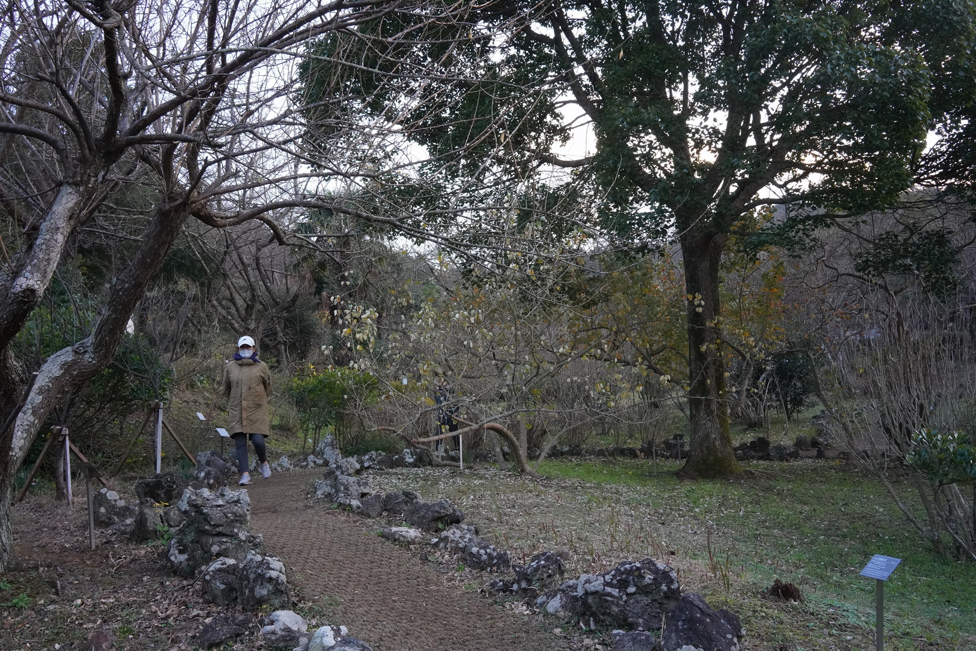 Jeju 23 (62)