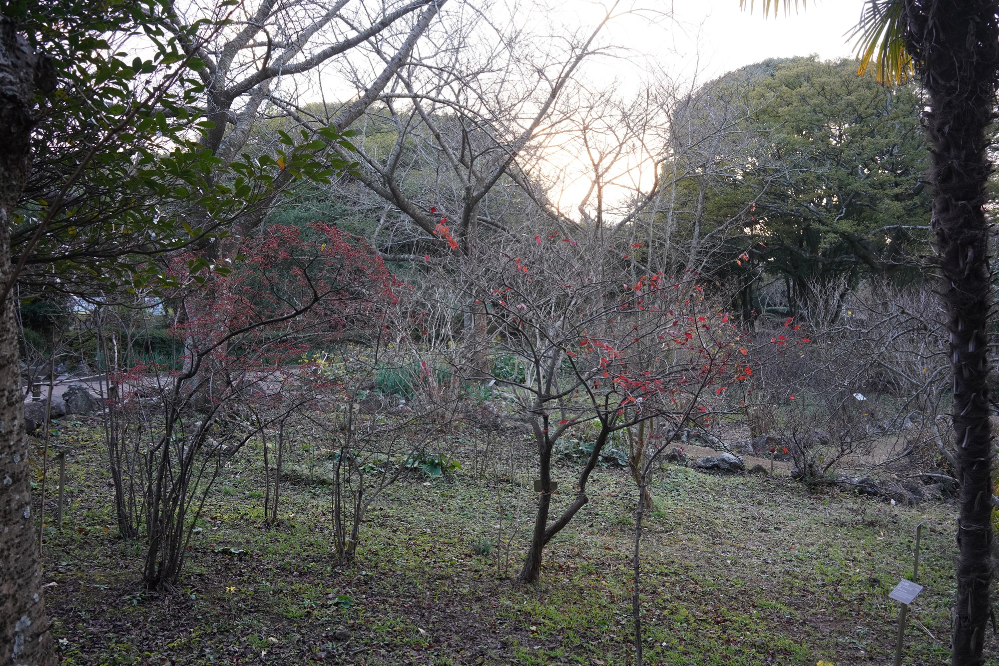 Jeju 23 (63)