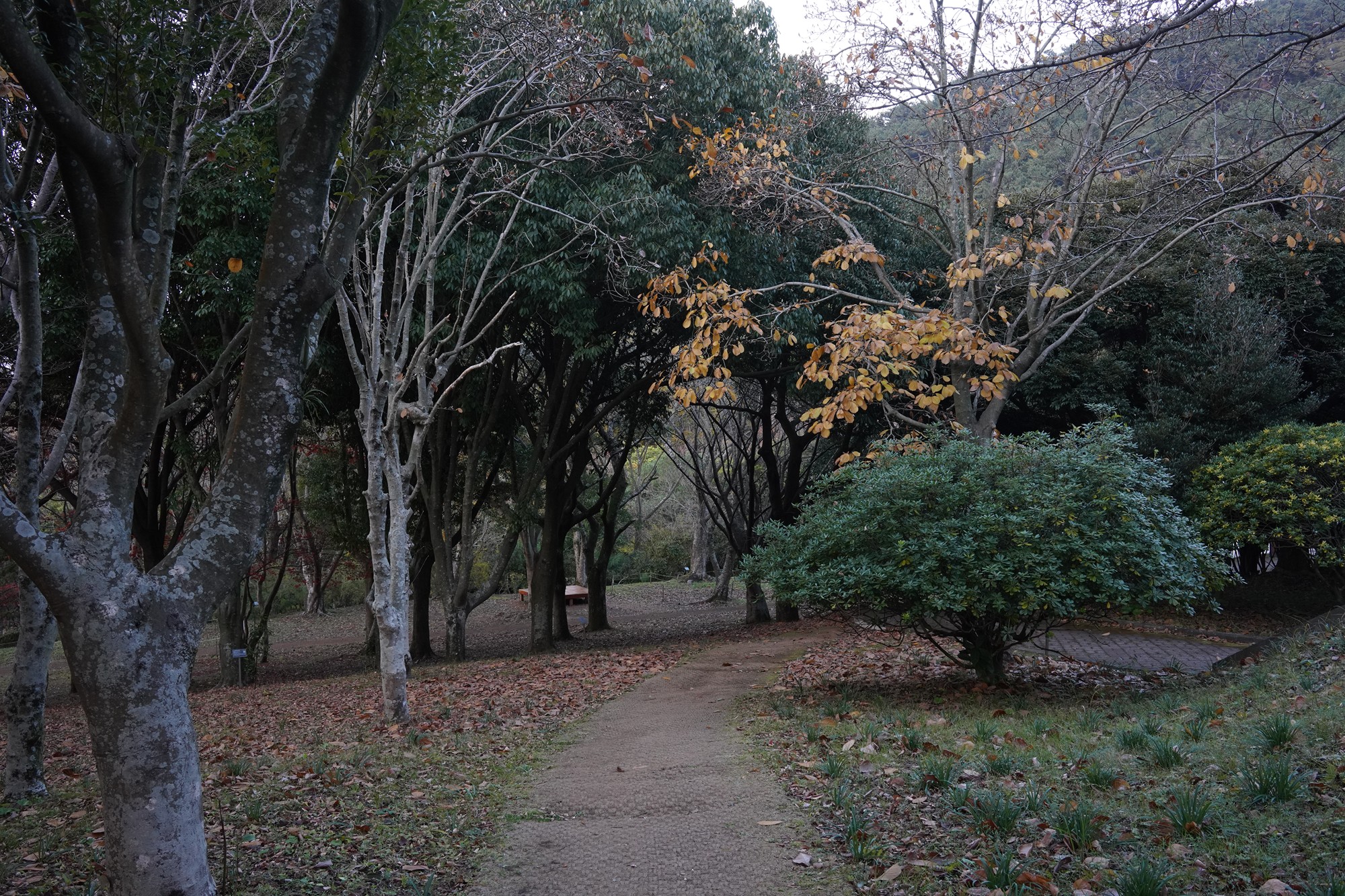 Jeju 23 (65)