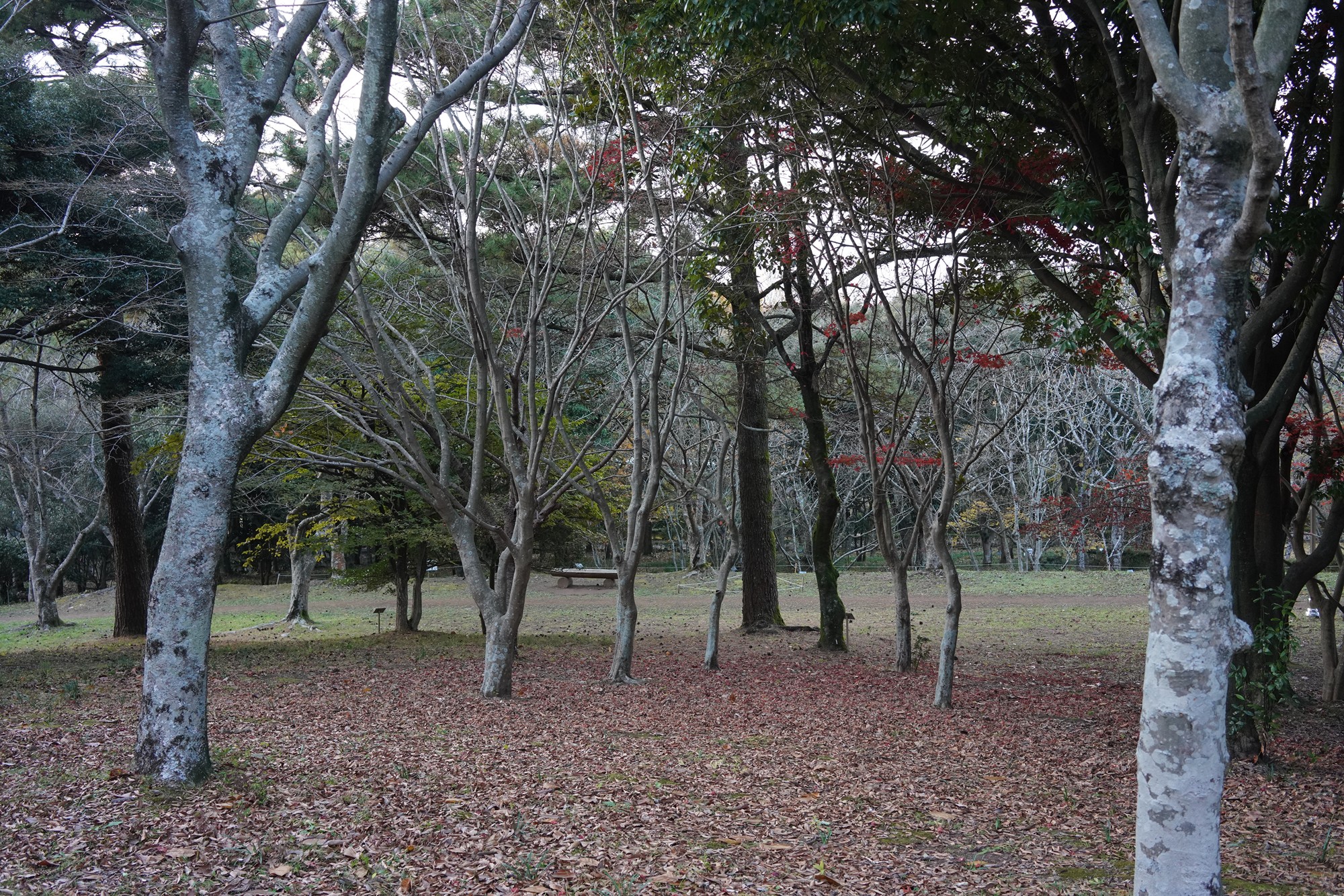 Jeju 23 (67)