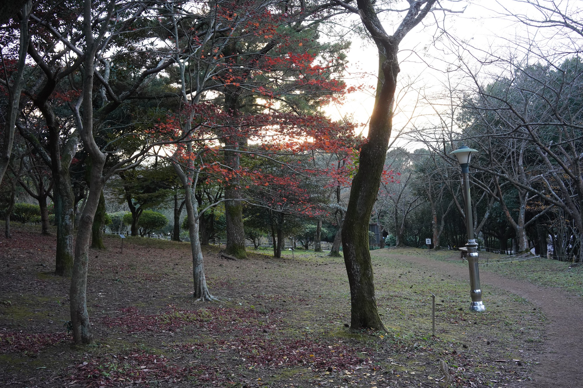 Jeju 23 (68)