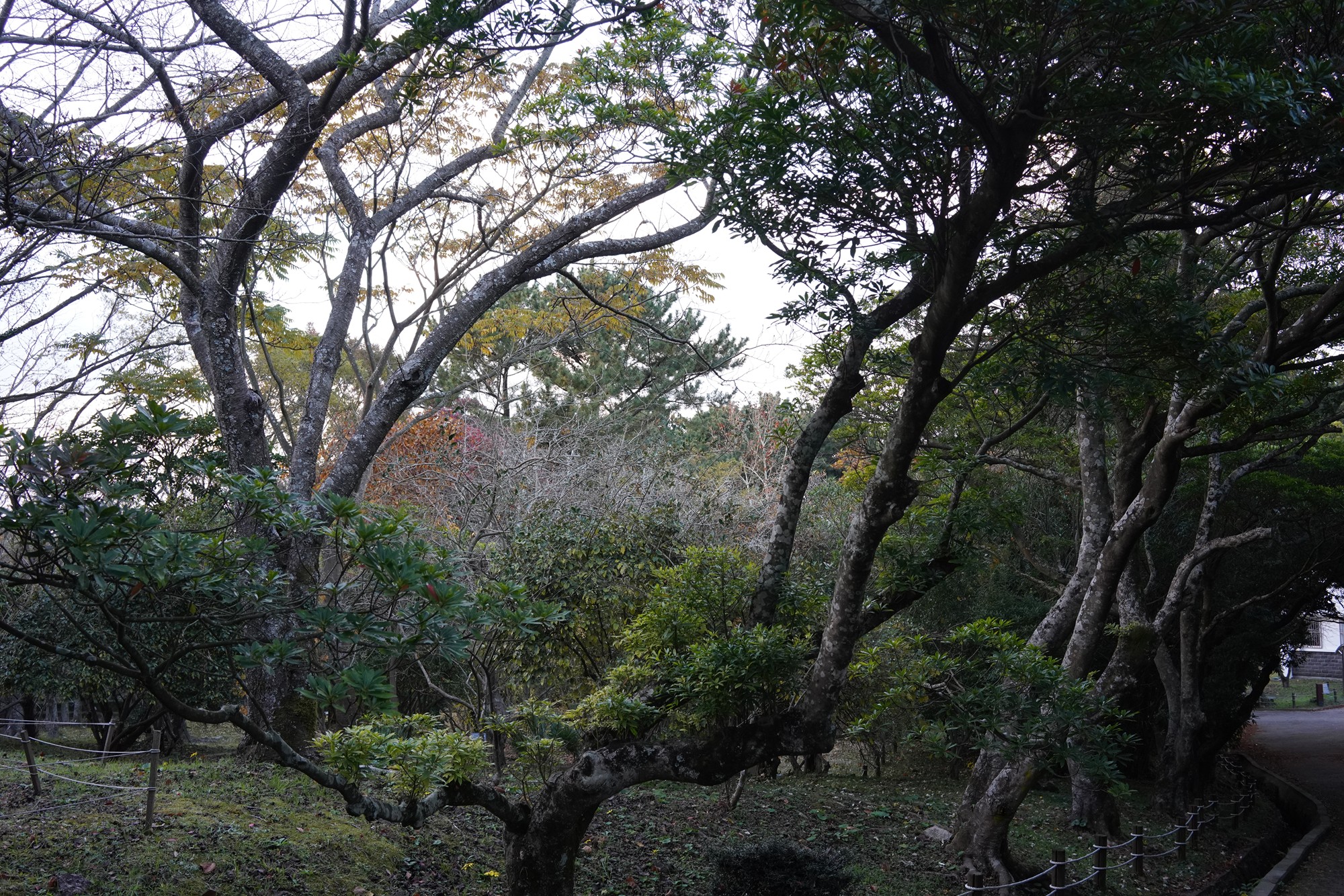Jeju 23 (70)