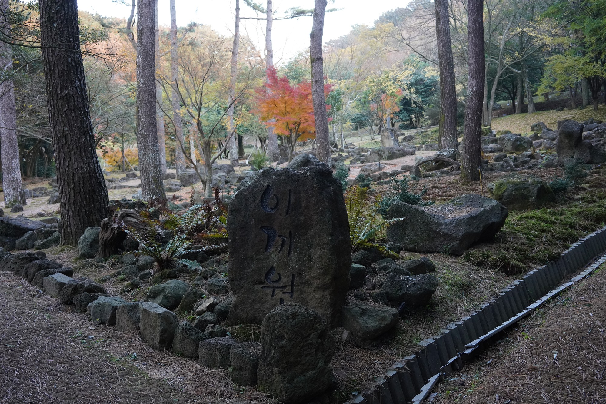 Jeju 23 (72)