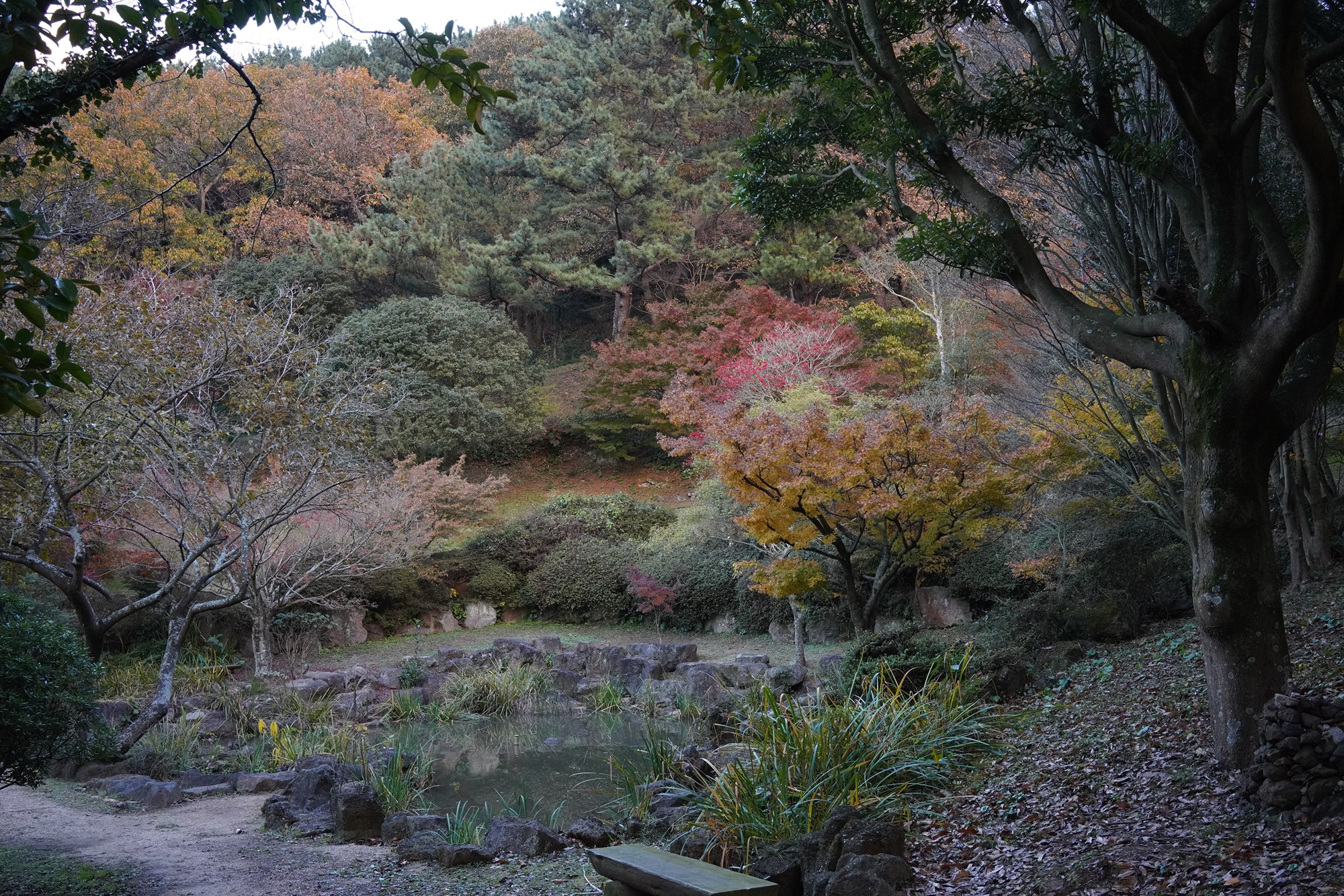 Jeju 23 (73)