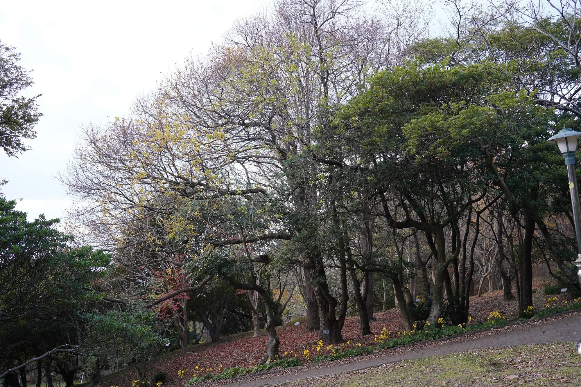 Jeju 23 (76)