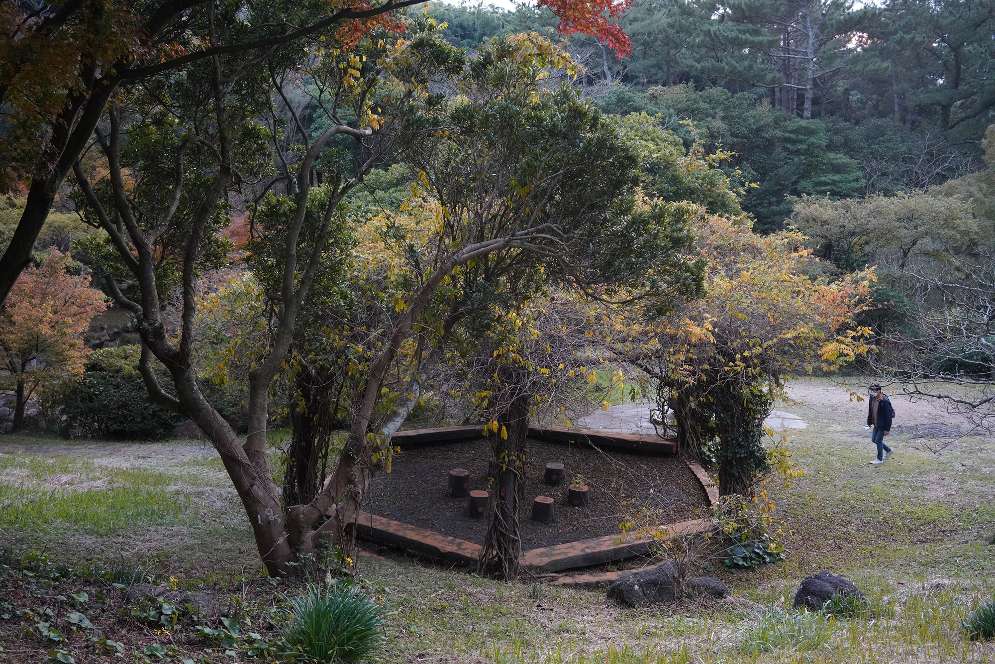 Jeju 23 (77)
