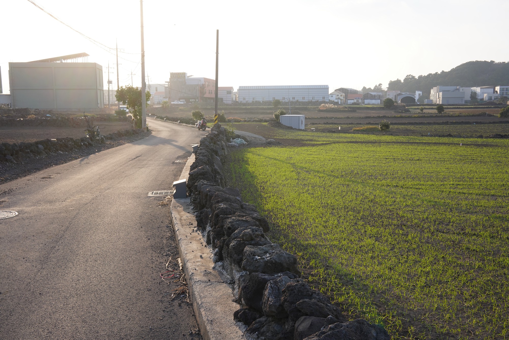 Jeju 25 (35)