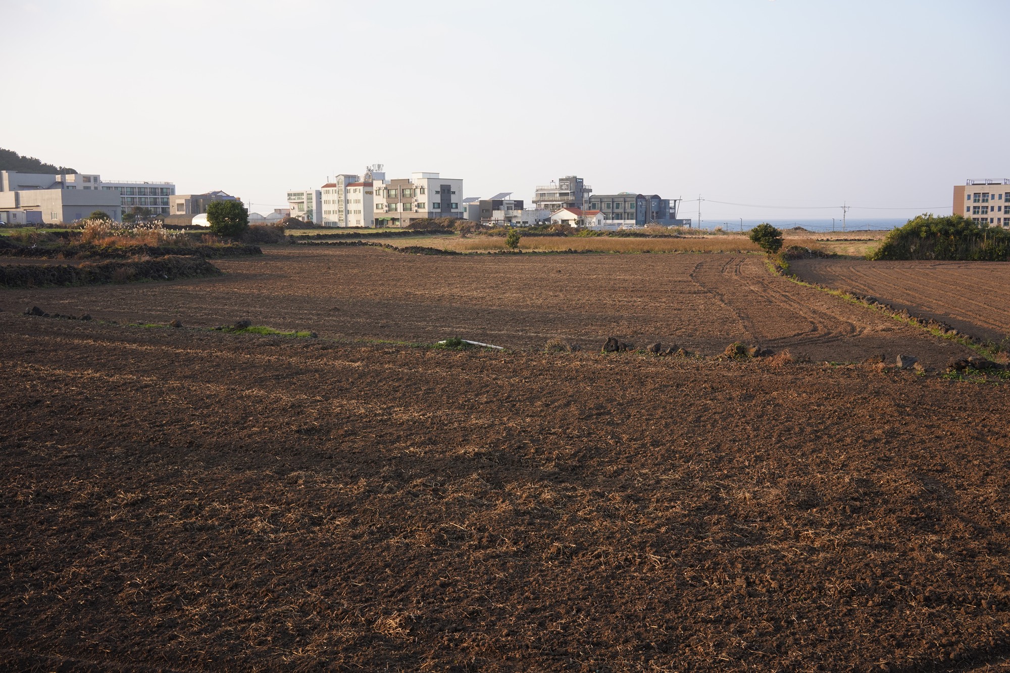 Jeju 25 (36)