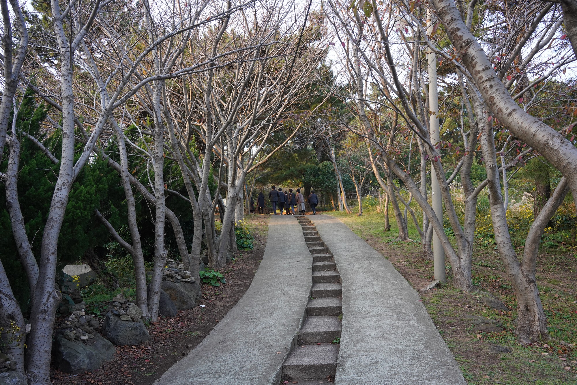 Jeju 25 (39)