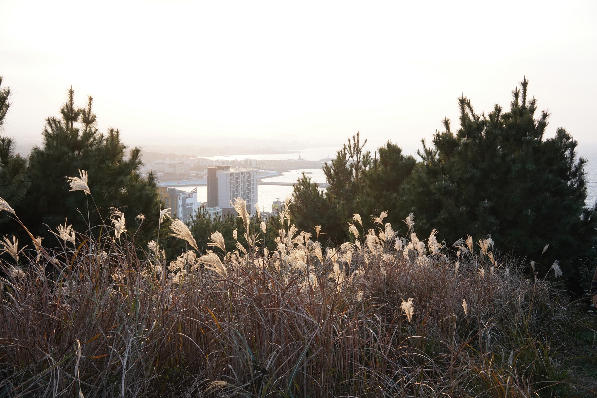 Jeju 25 (41)