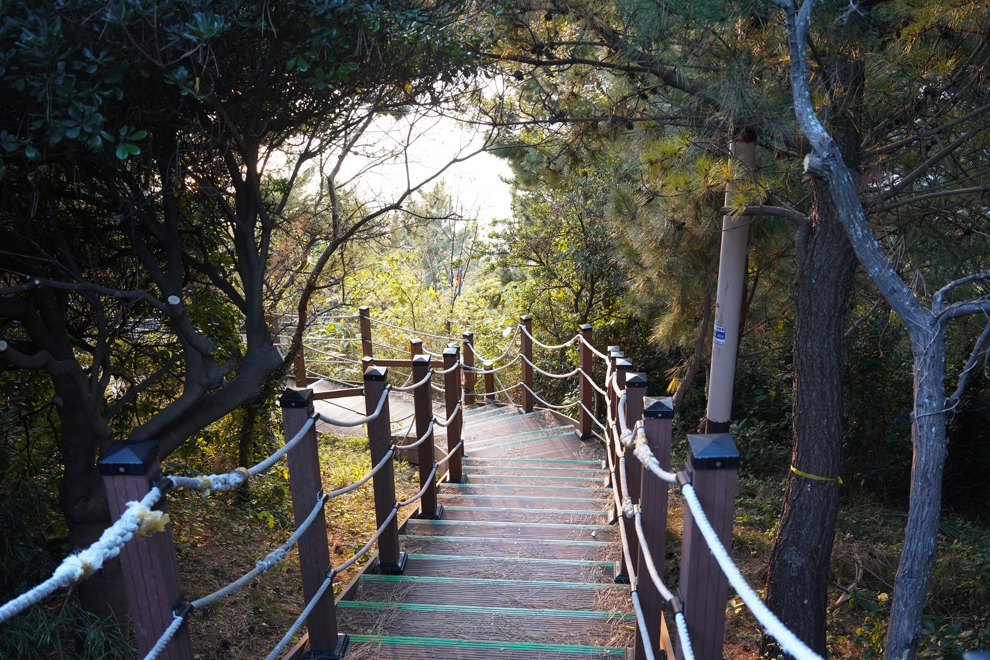 Jeju 25 (43)