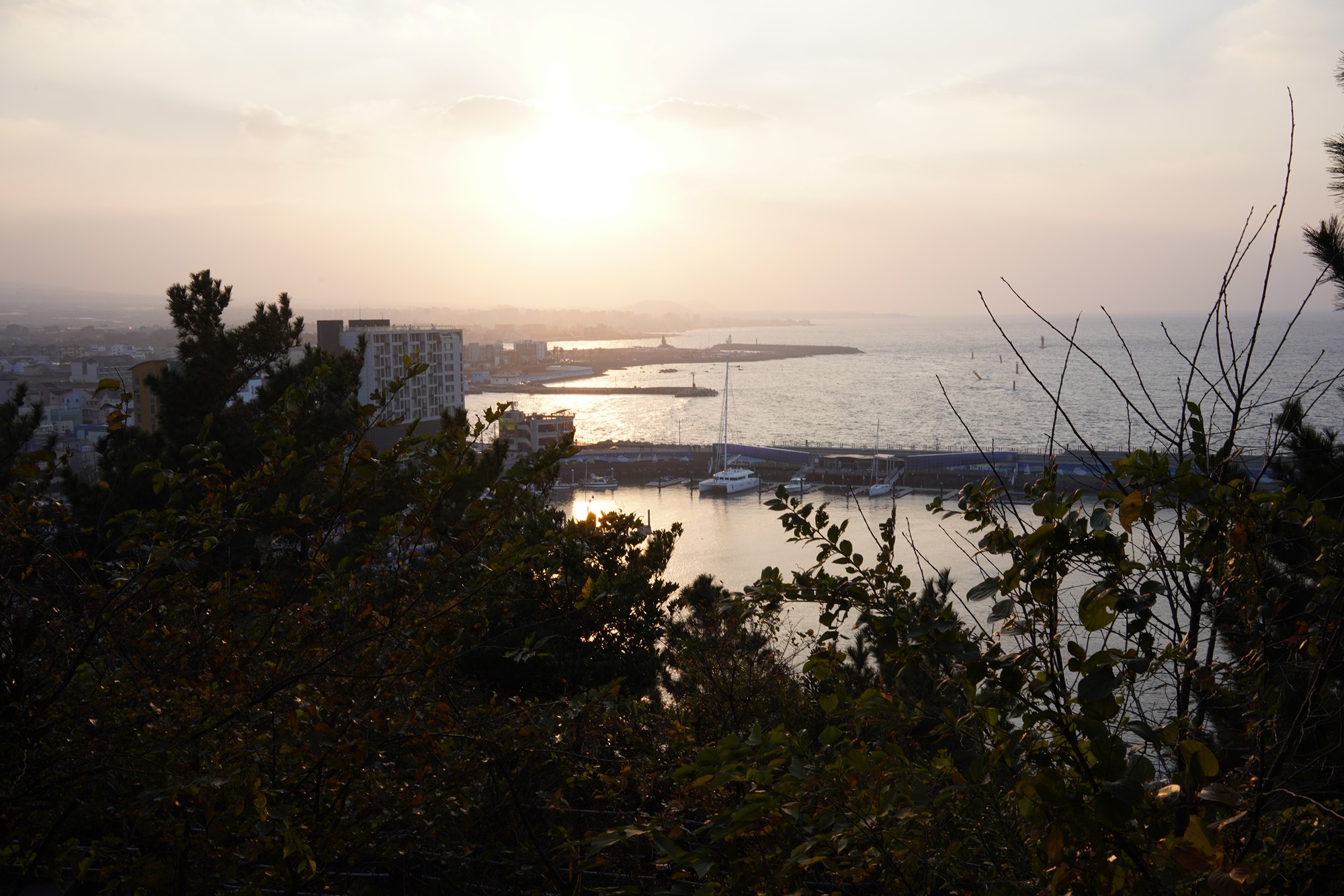 Jeju 25 (44)