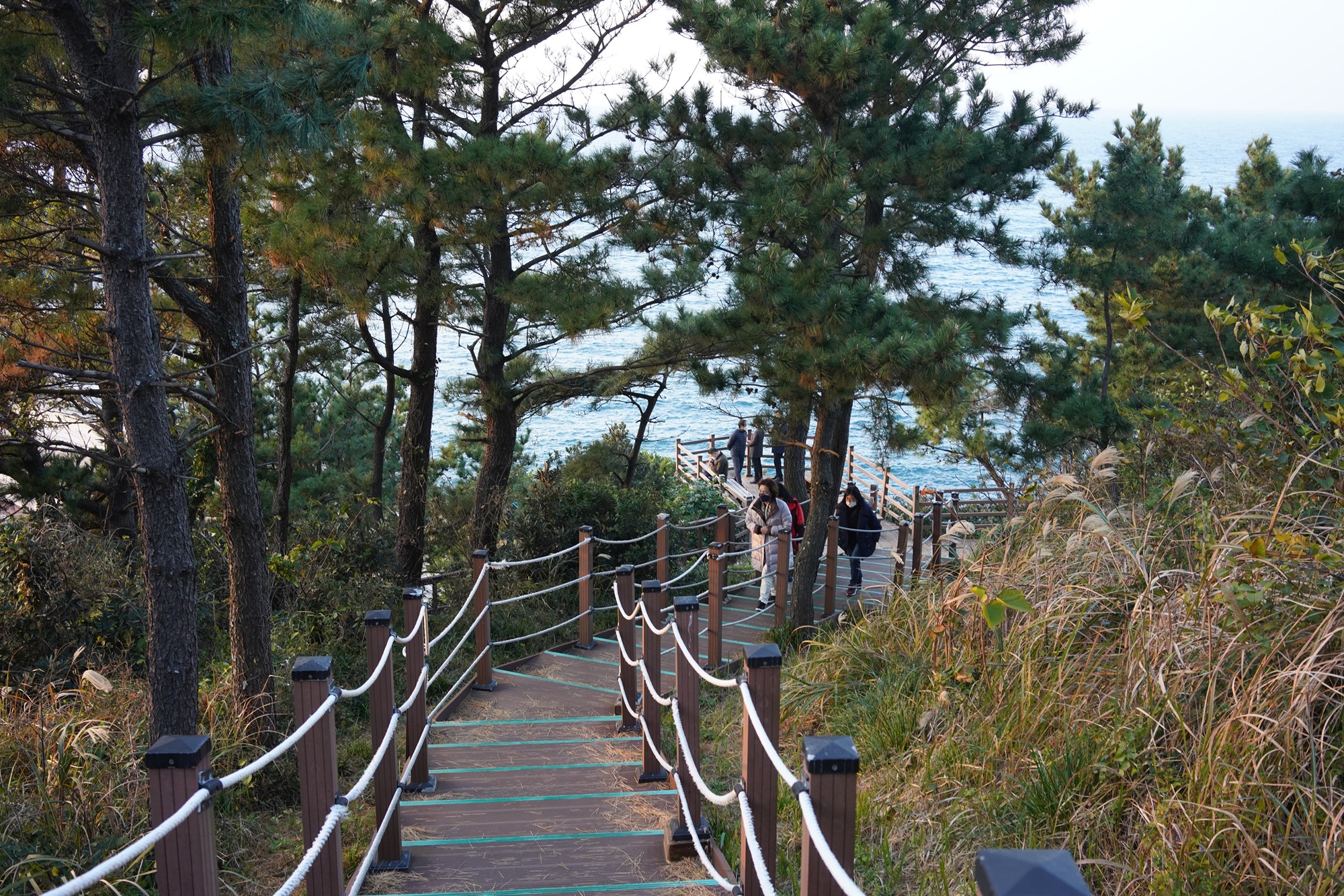 Jeju 25 (45)
