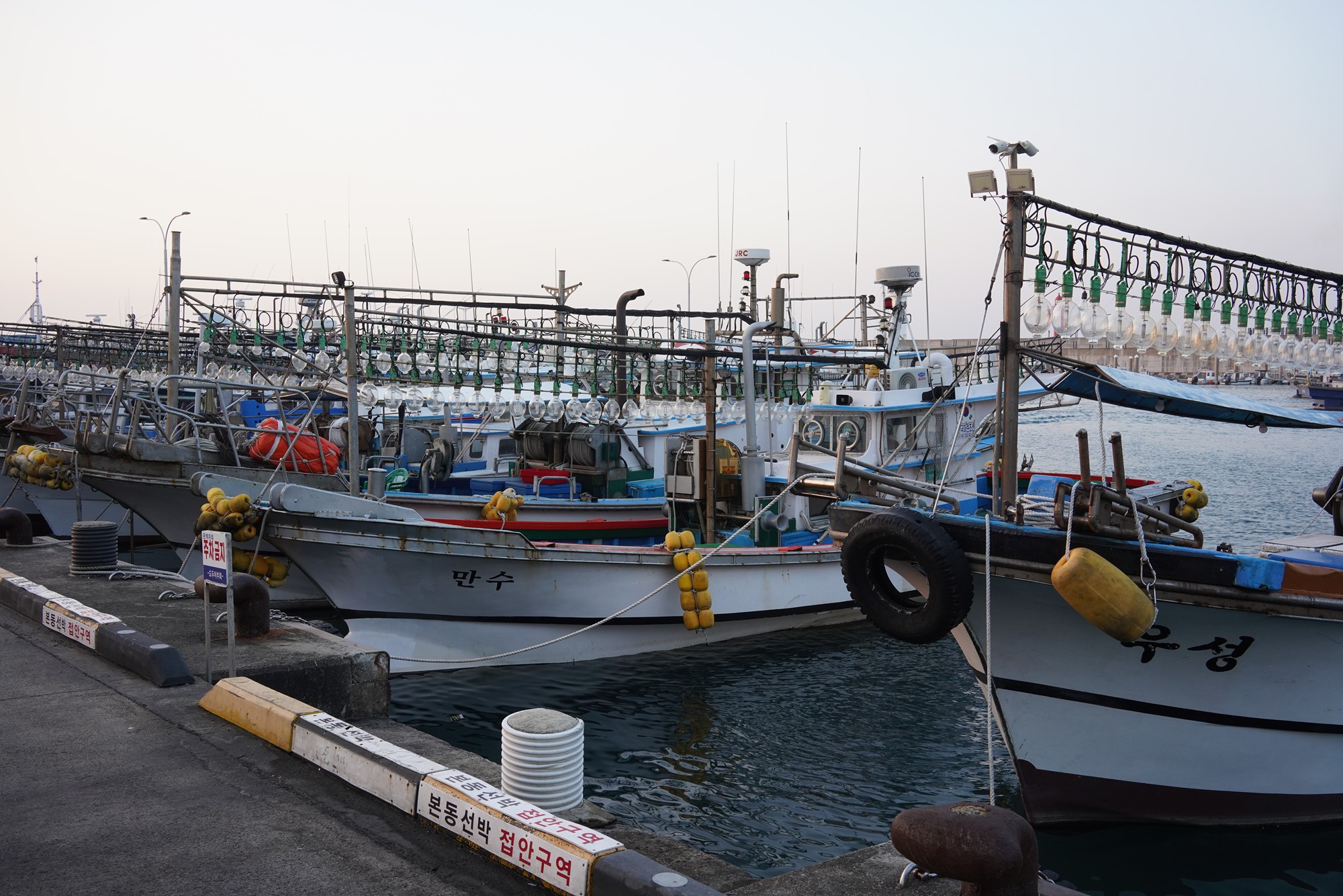 Jeju 25 (48)