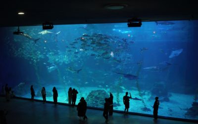 Jeju-do Aqua Planet, South Korea