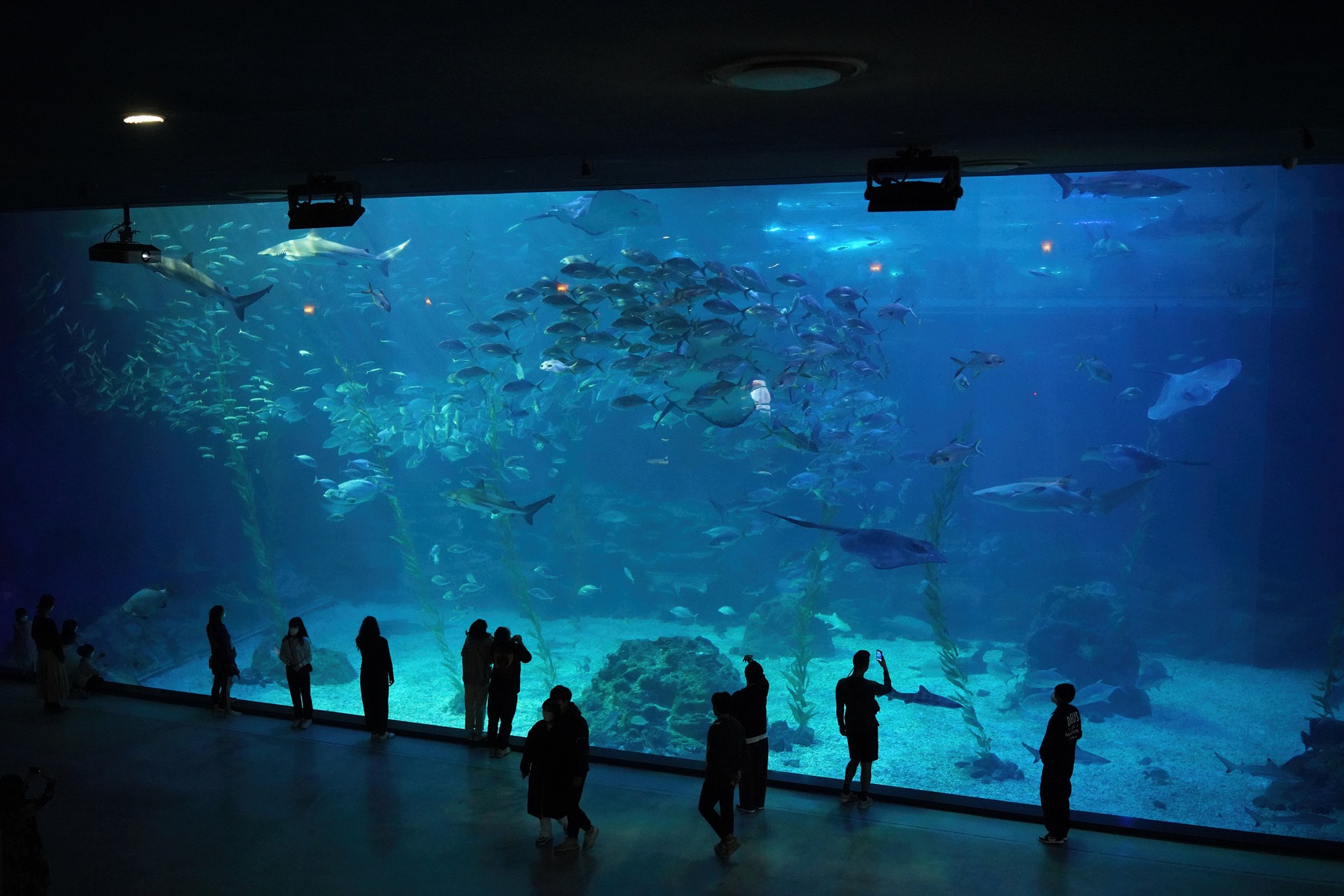 Jeju 8 (86)