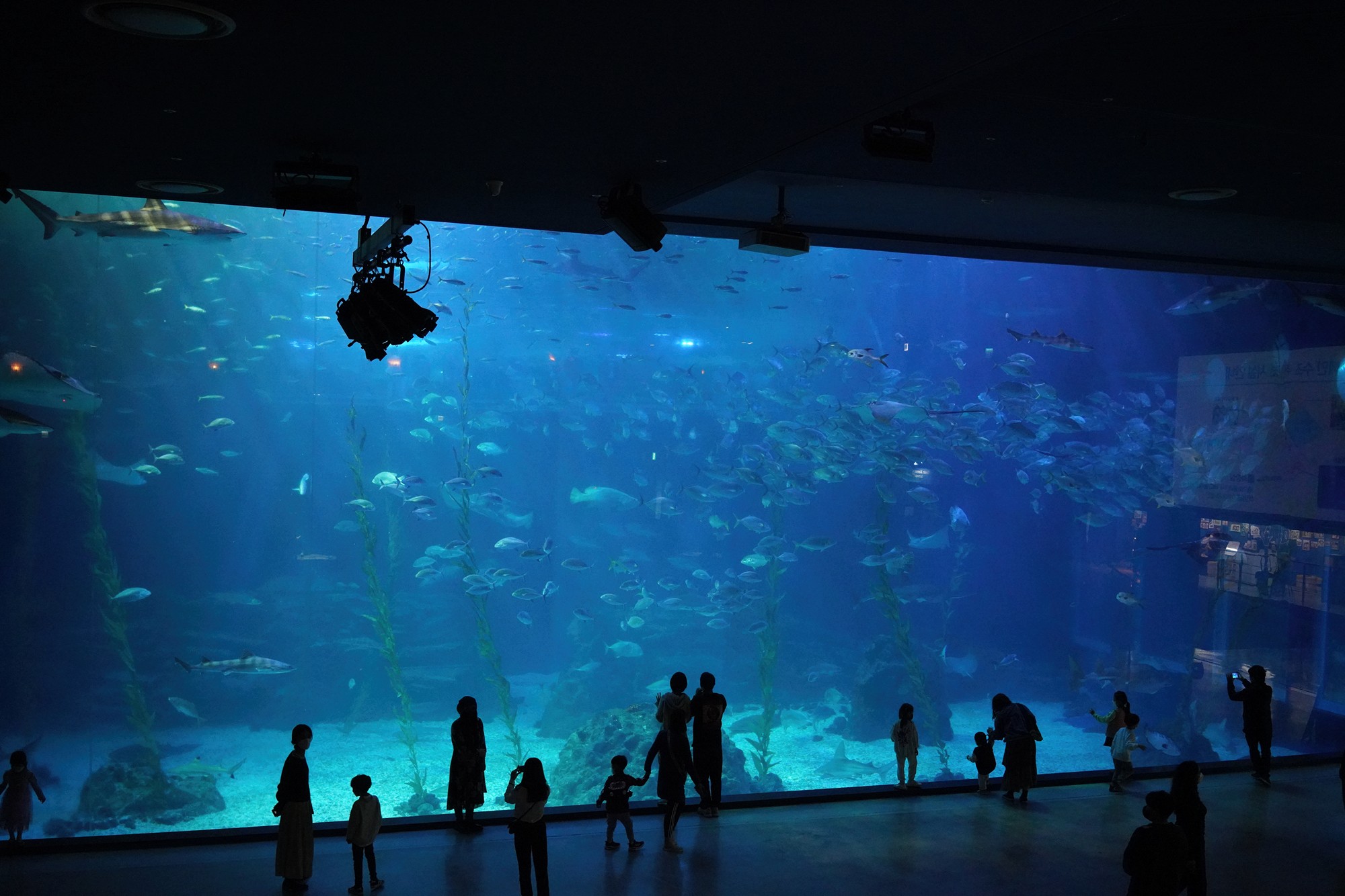 Jeju 8 (87)