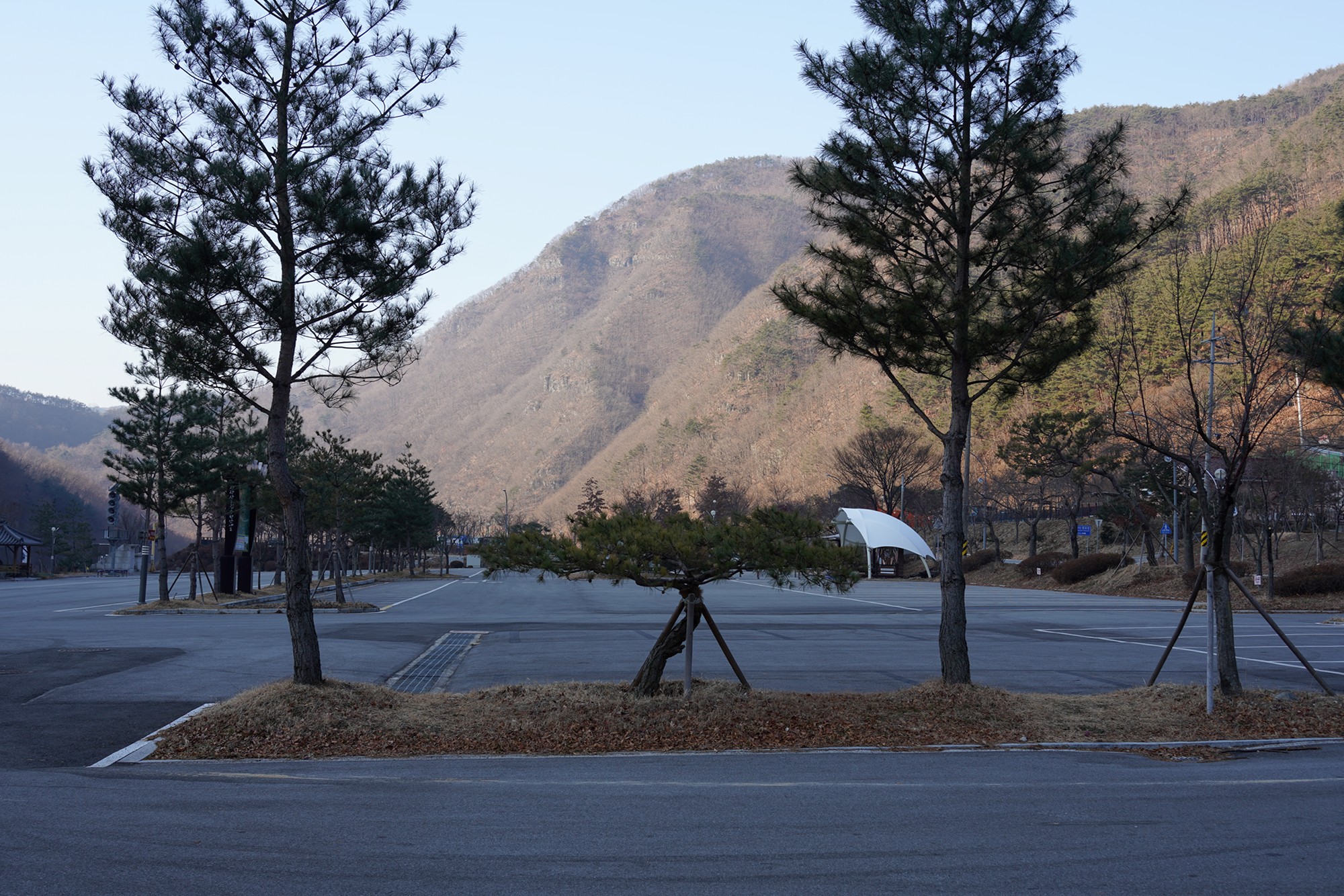 Andong 2 (1)