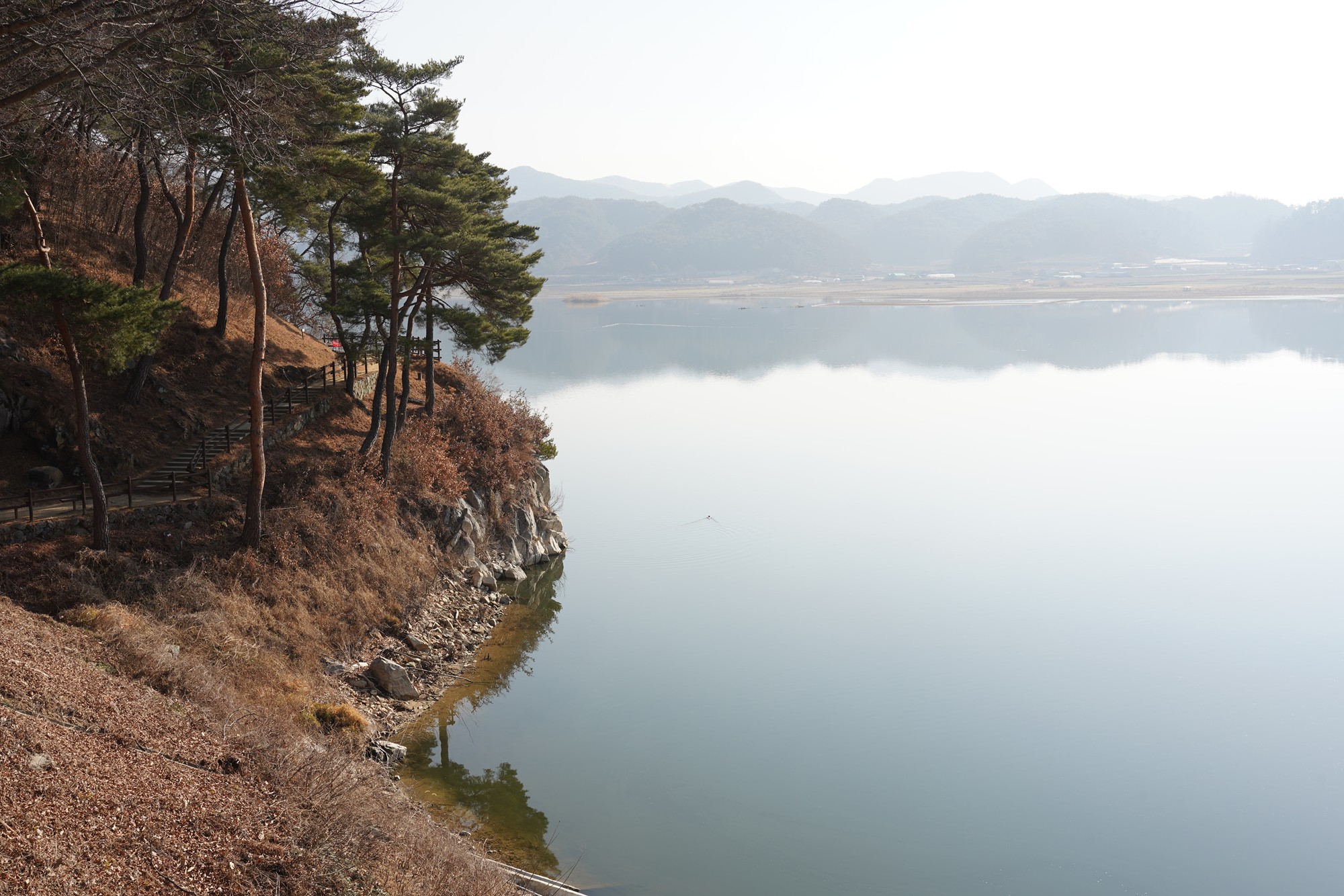 Andong 2 (11)