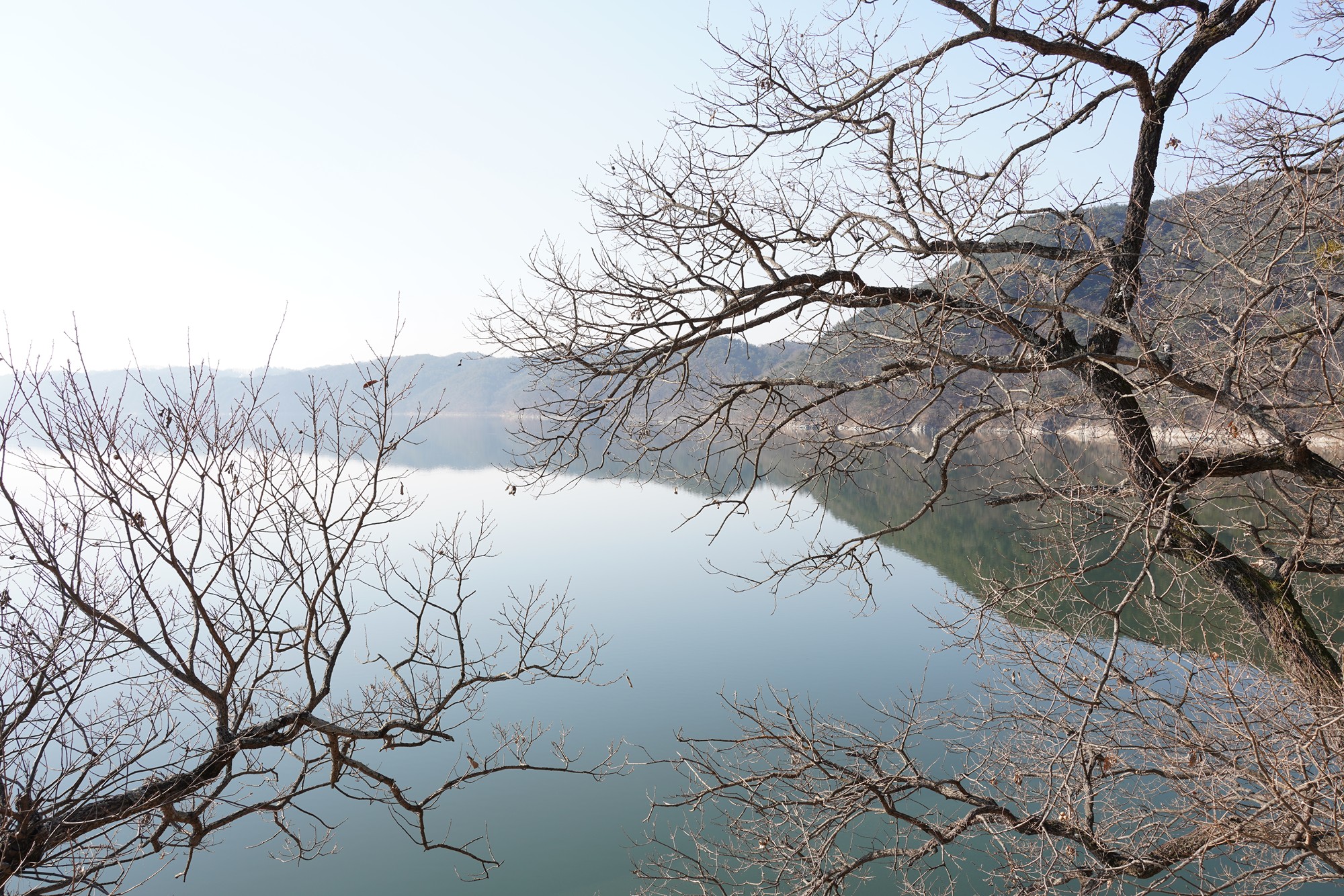 Andong 2 (13)
