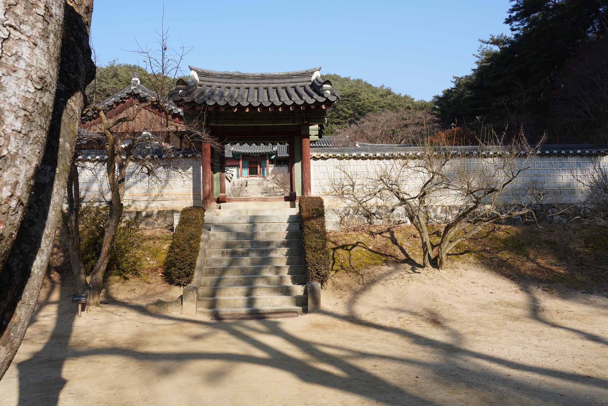 Andong 2 (18)