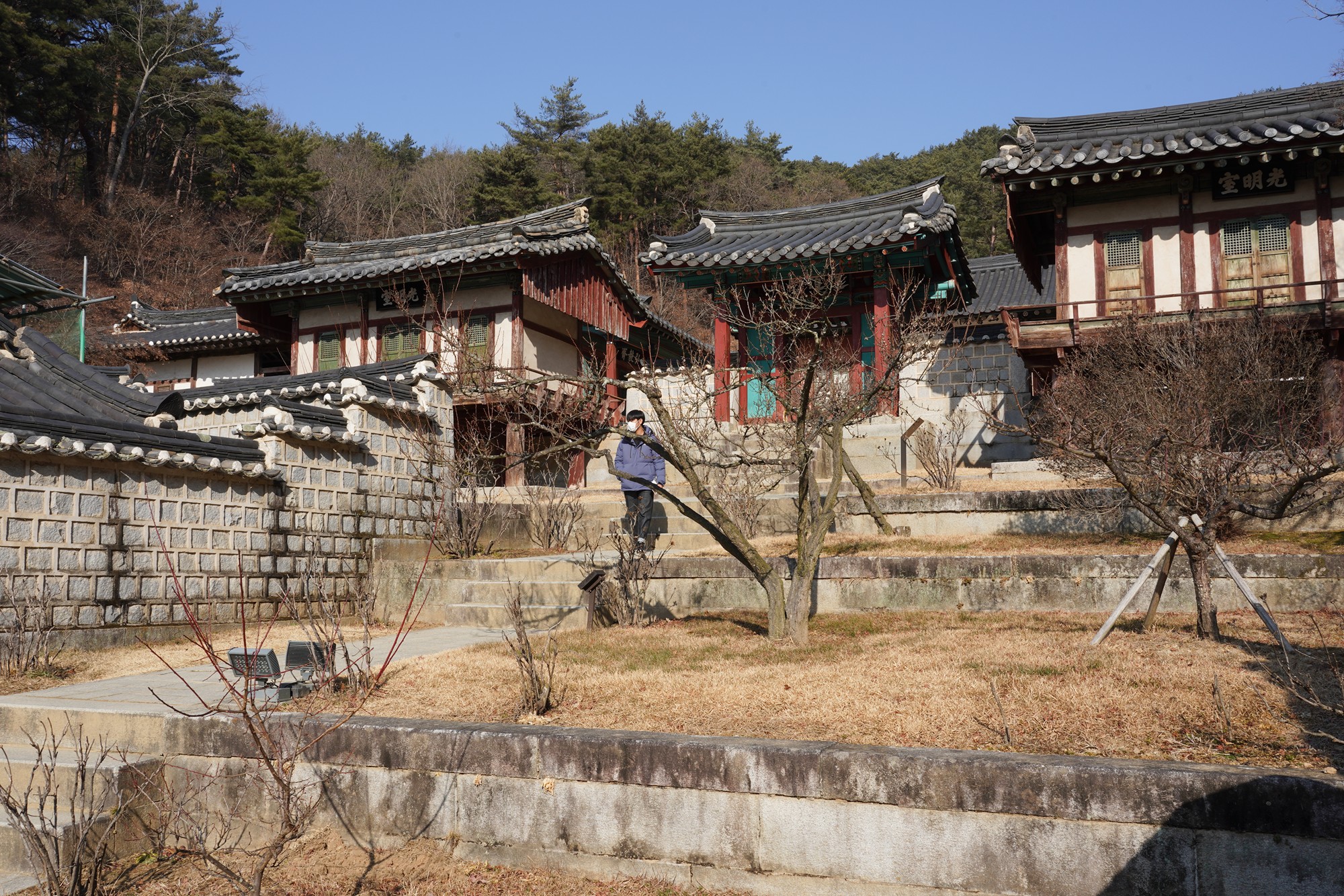 Andong 2 (36)