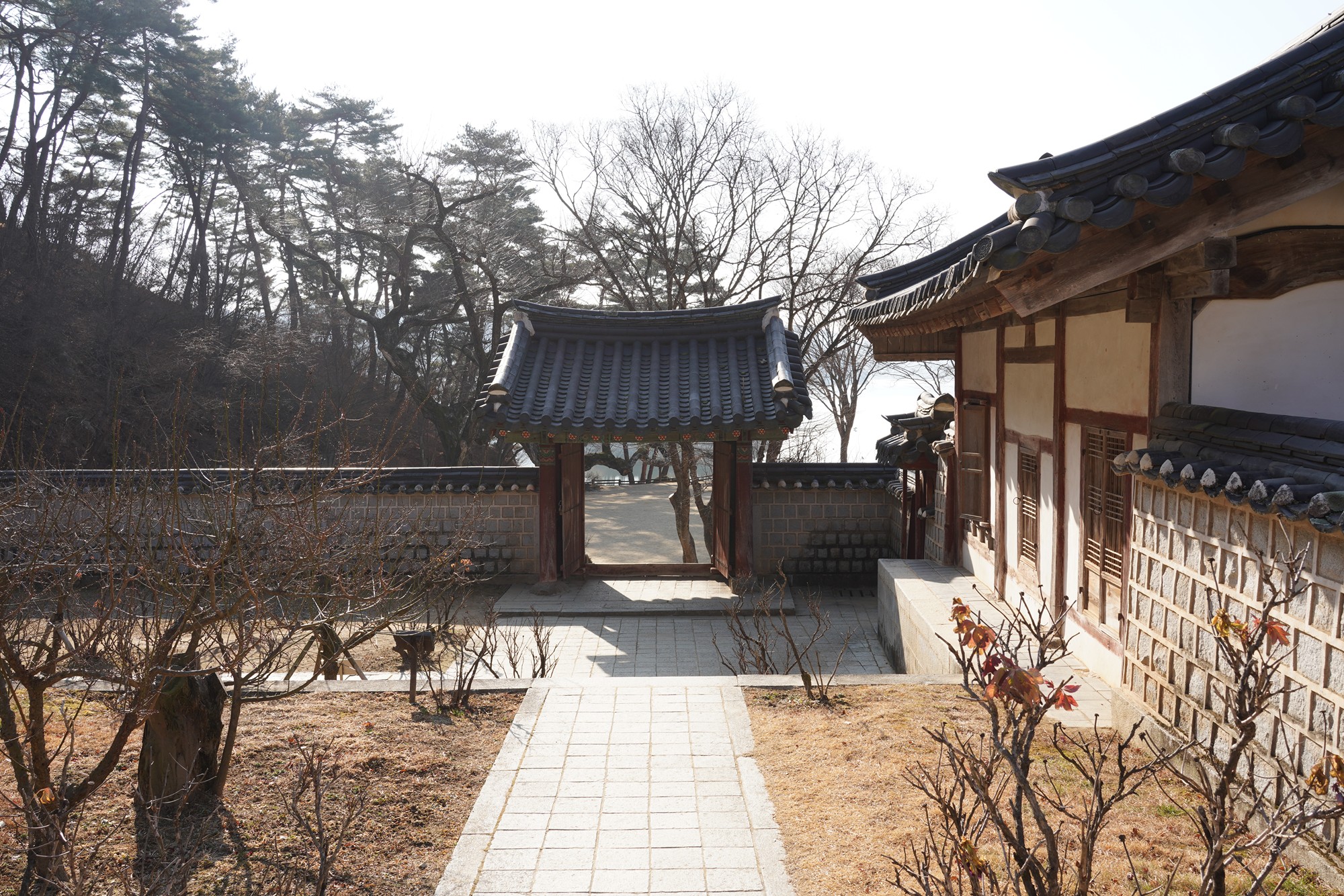 Andong 2 (37)