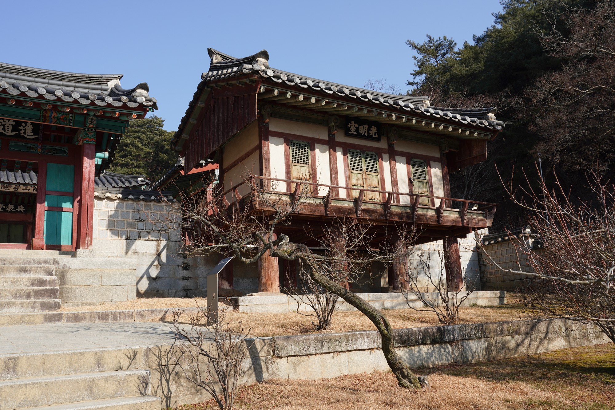 Andong 2 (39)