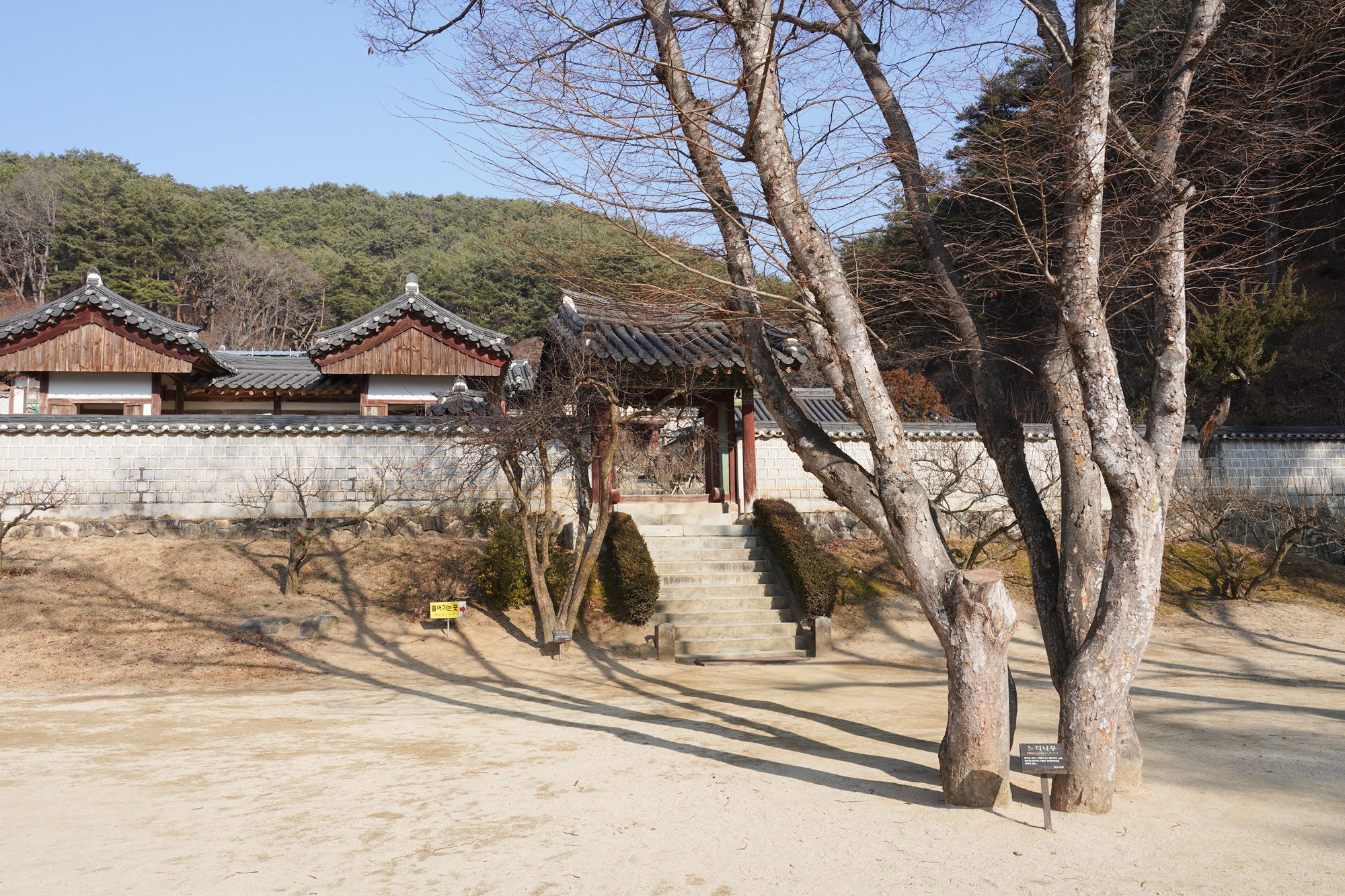Andong 2 (64)