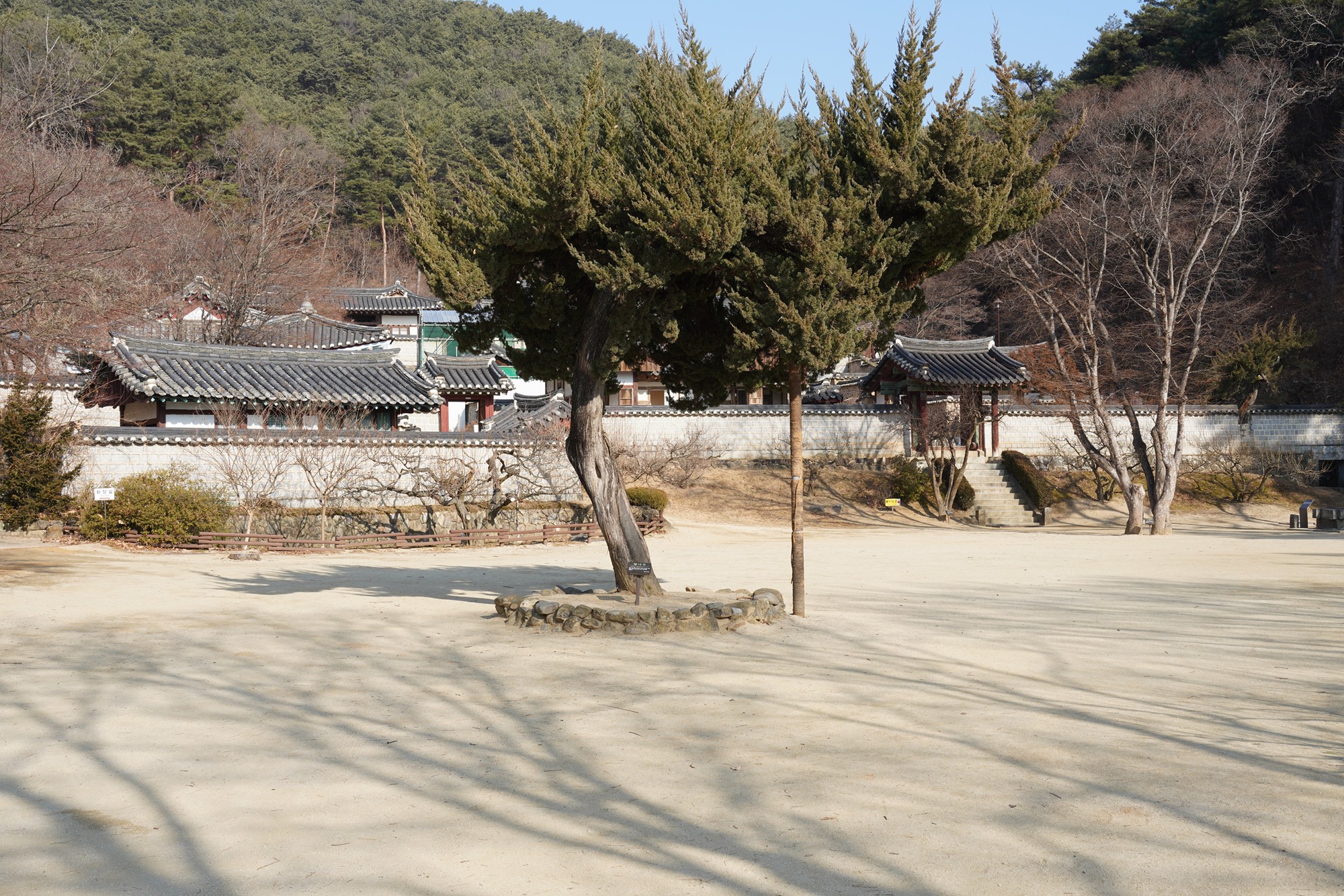 Andong 2 (66)
