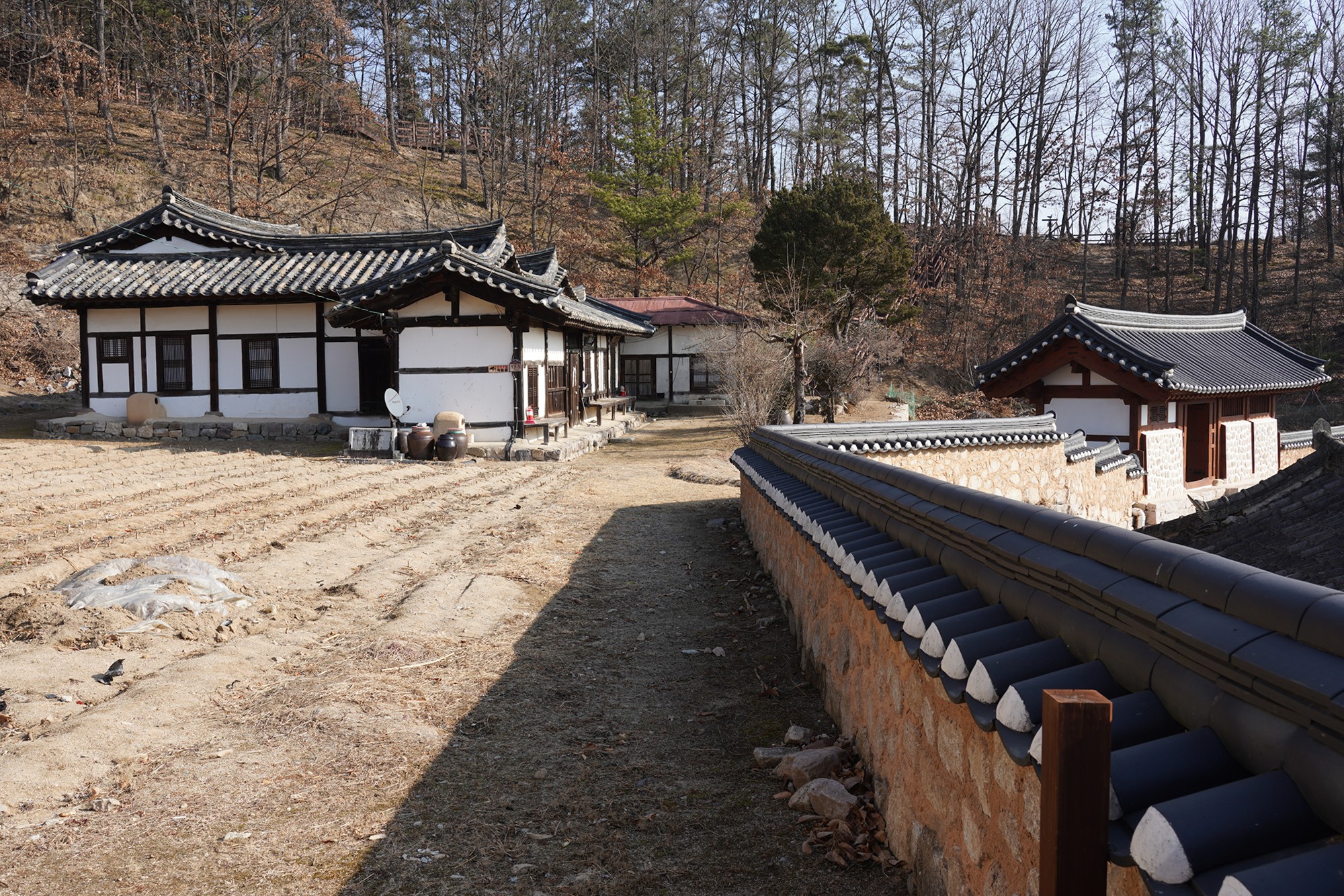 Andong 2 (69)