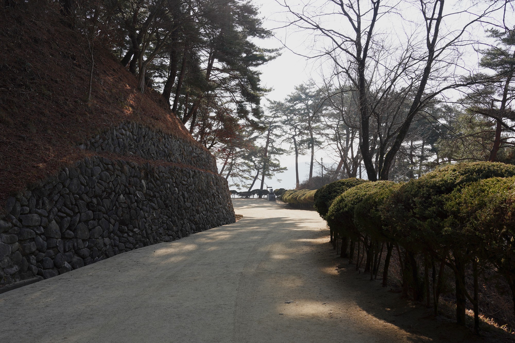 Andong 2 (7)