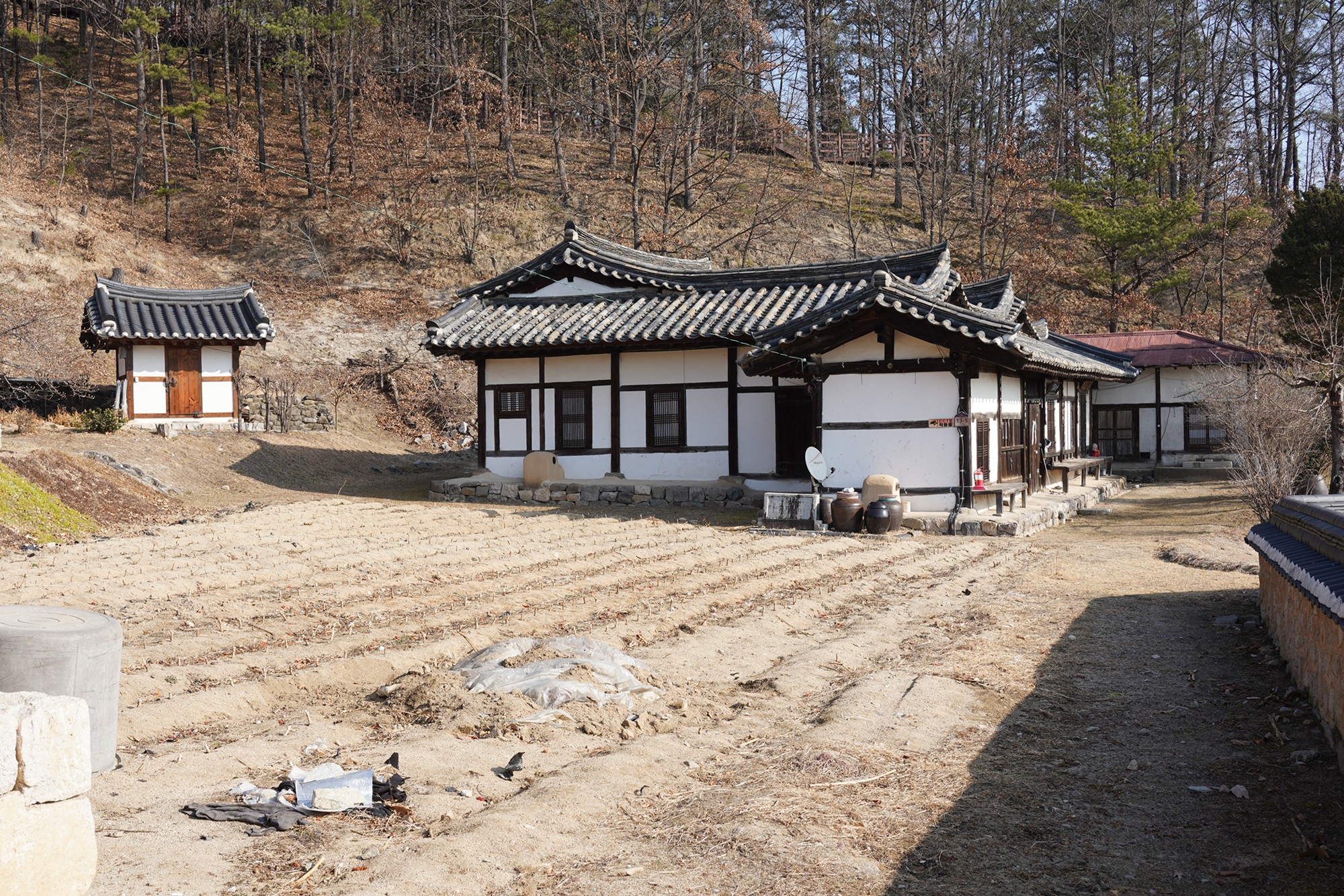 Andong 2 (70)