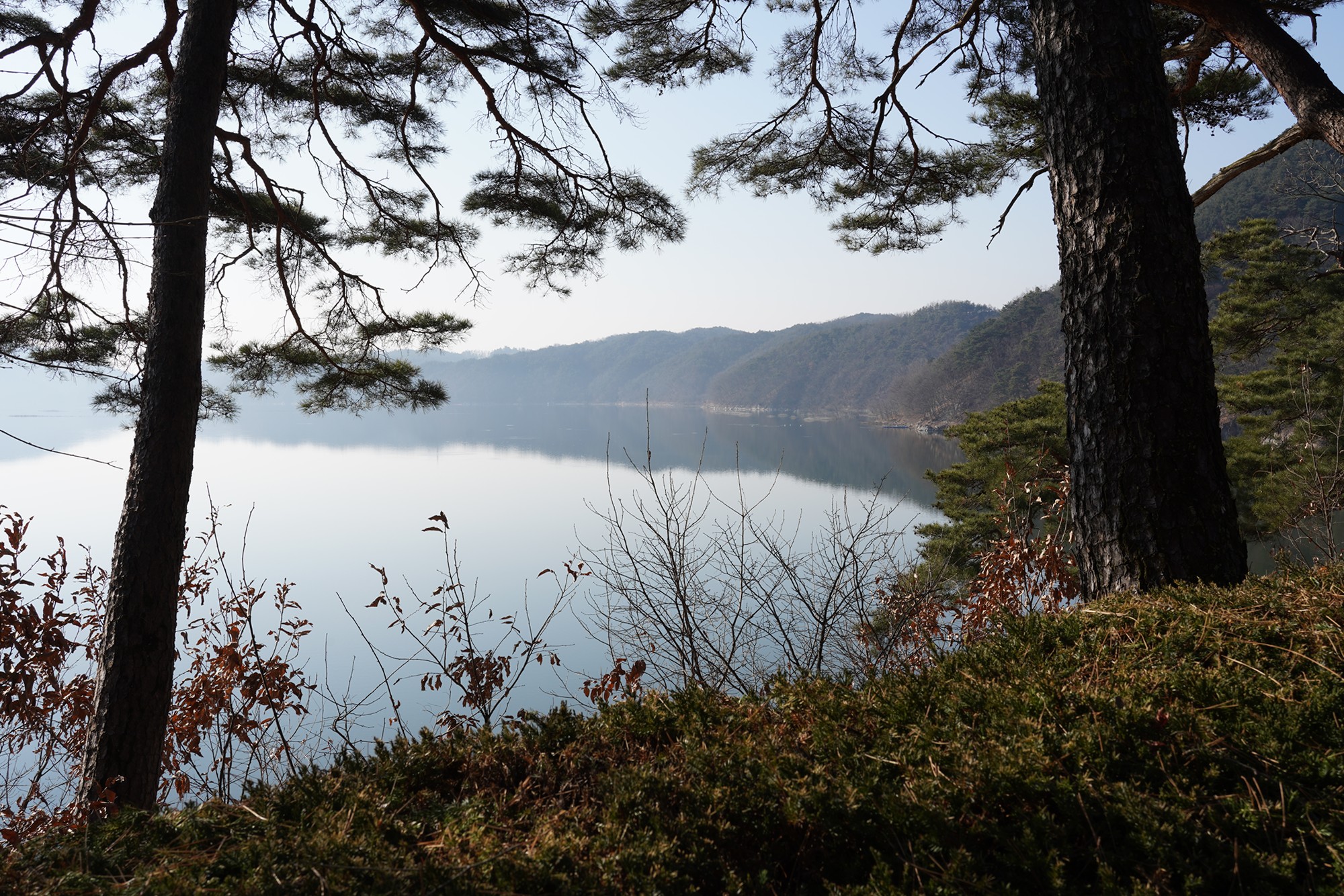 Andong 2 (9)
