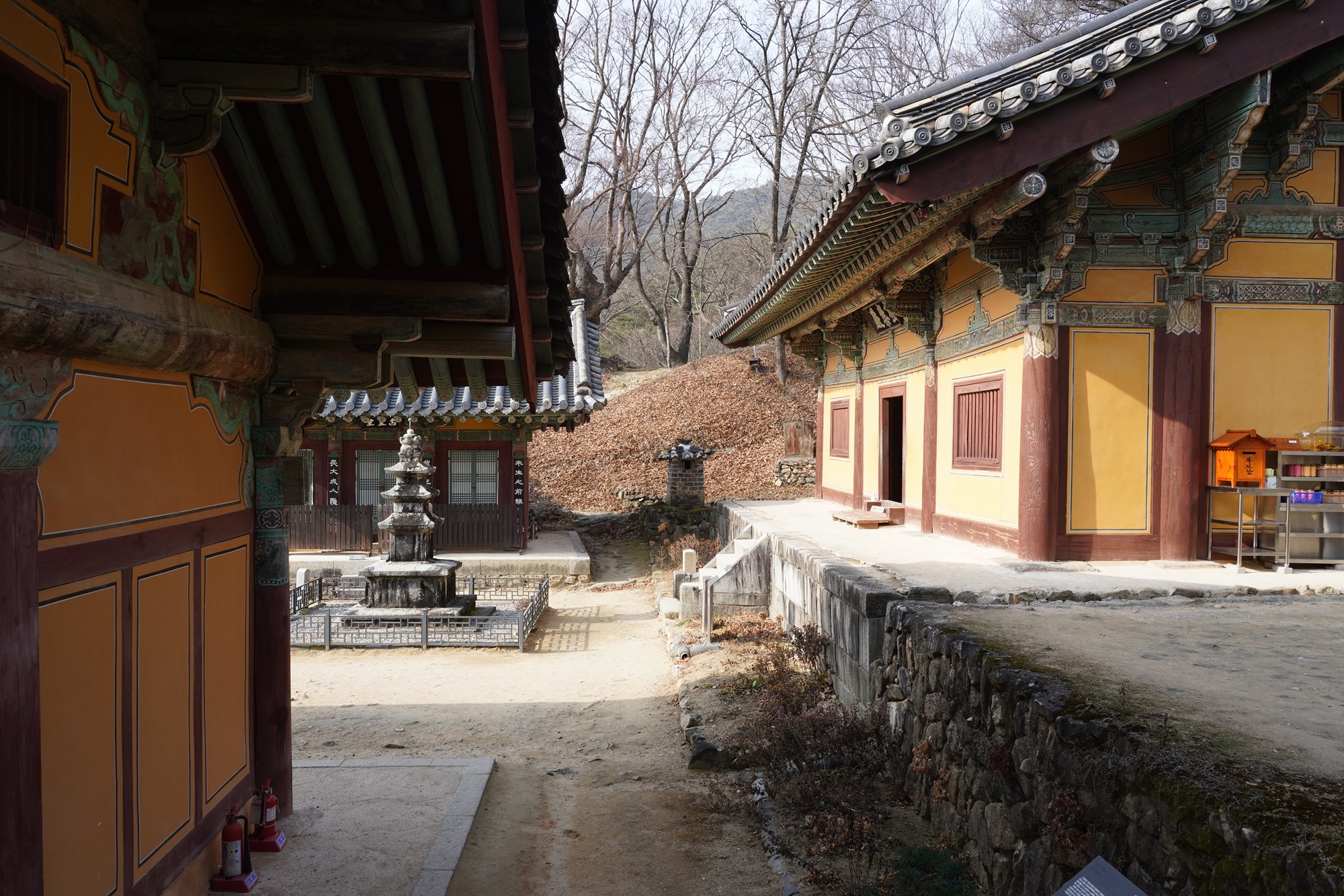 Andong 3 (19)