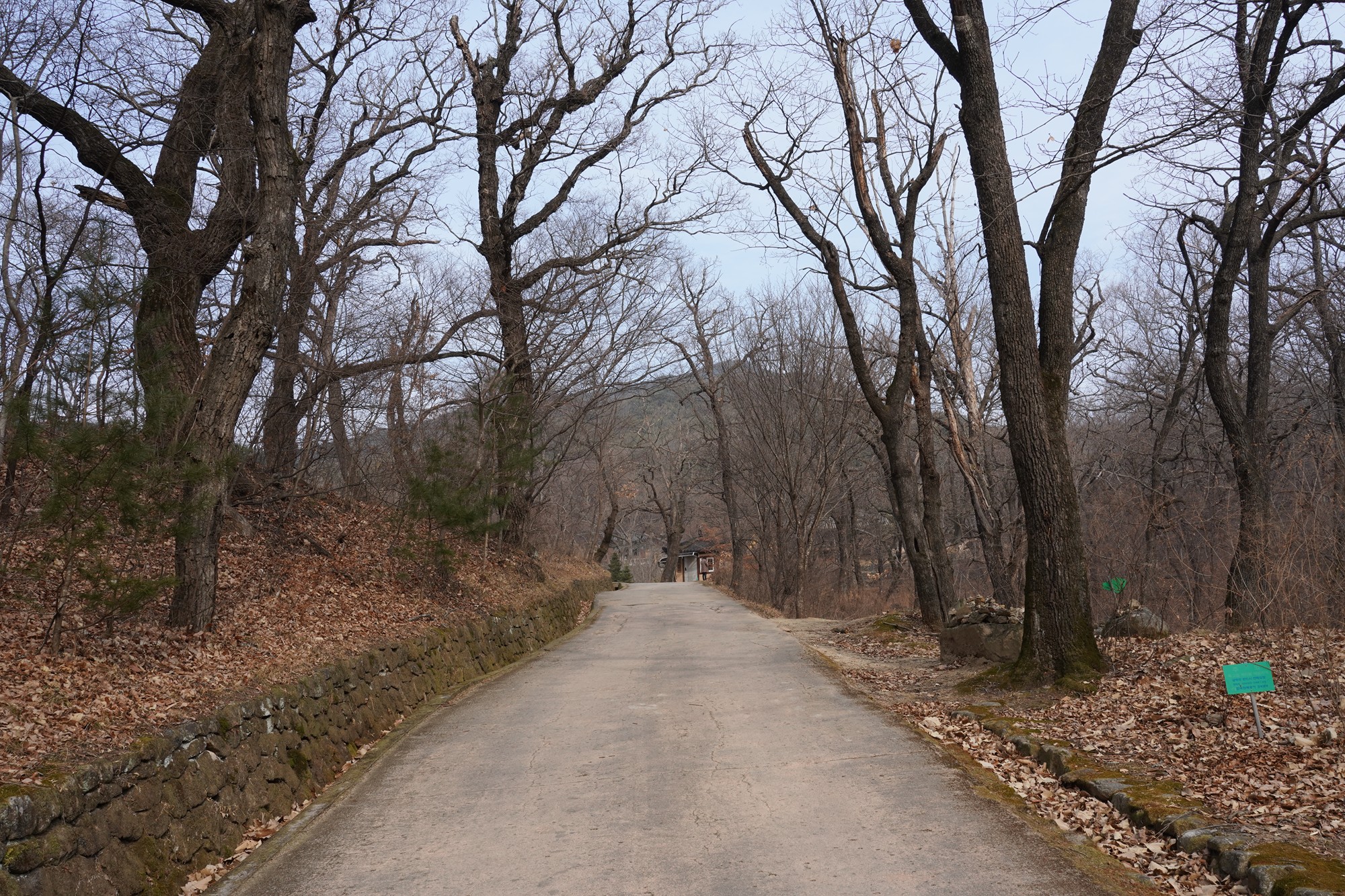 Andong 3 (3)