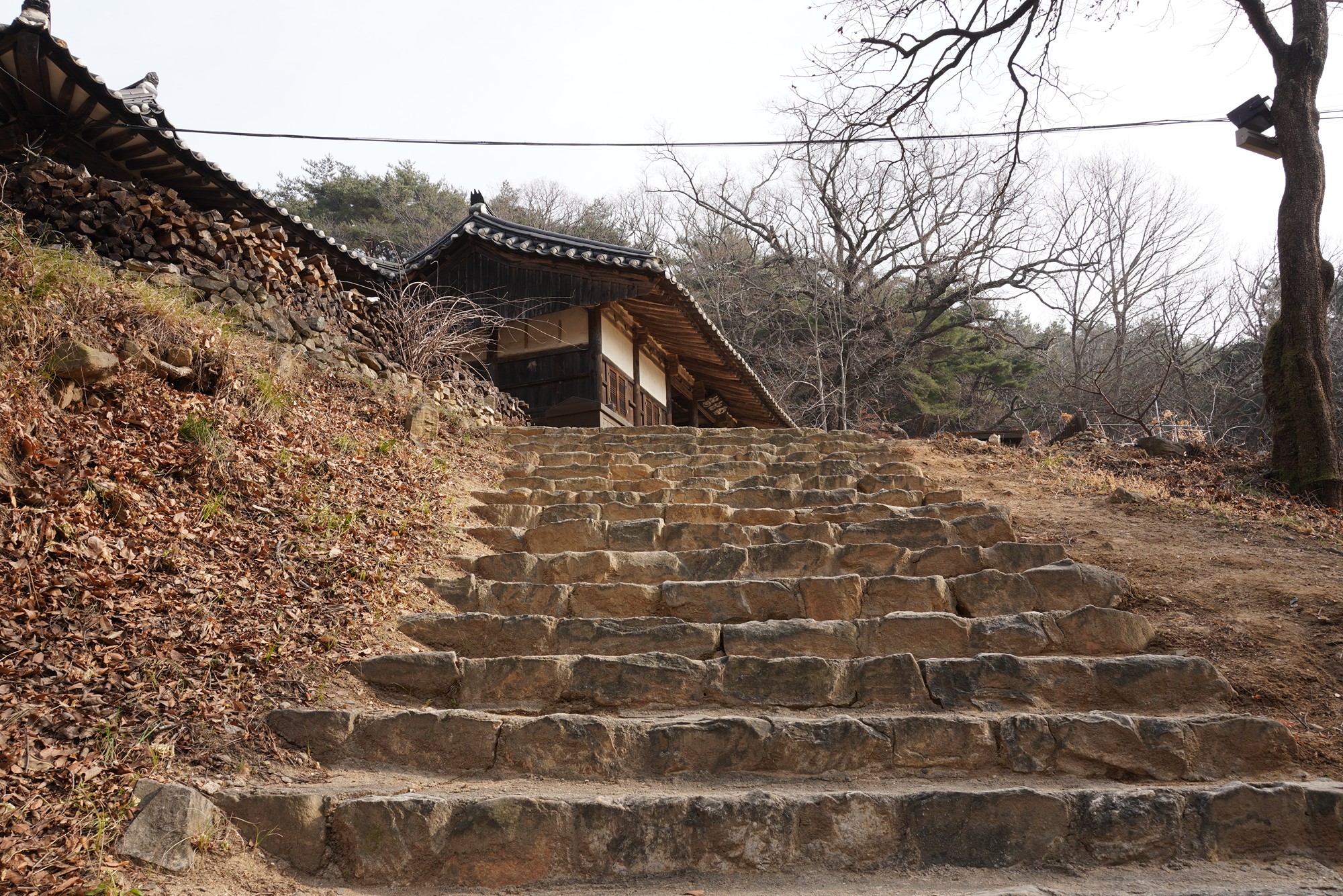 Andong 3 (41)