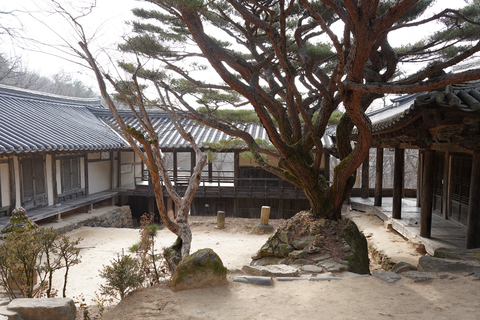 Andong 3 (50)