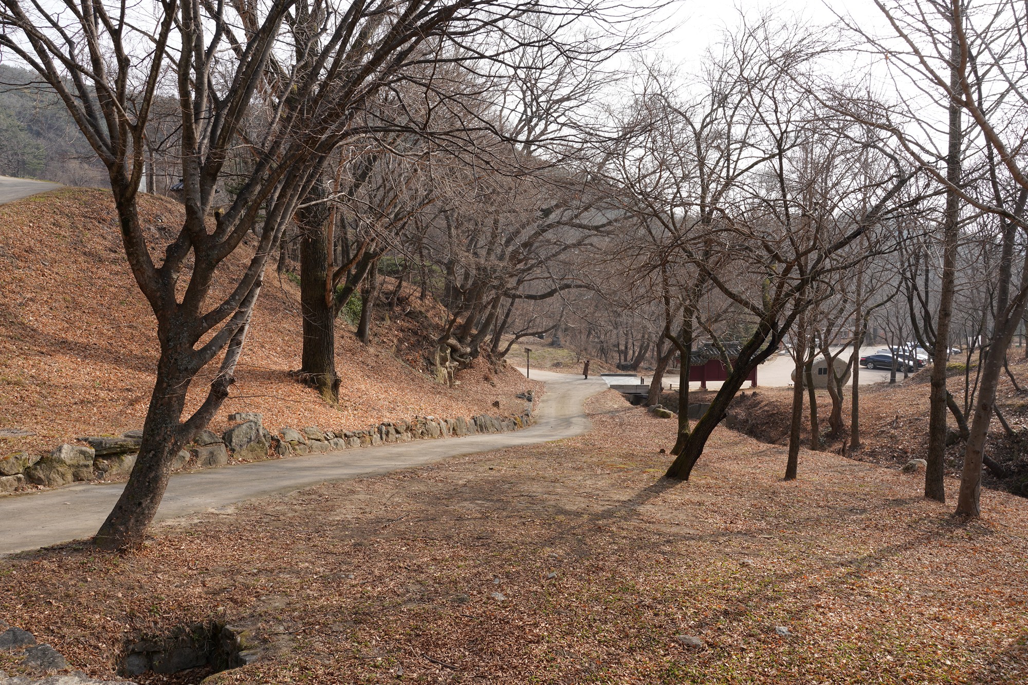 Andong 3 (57)