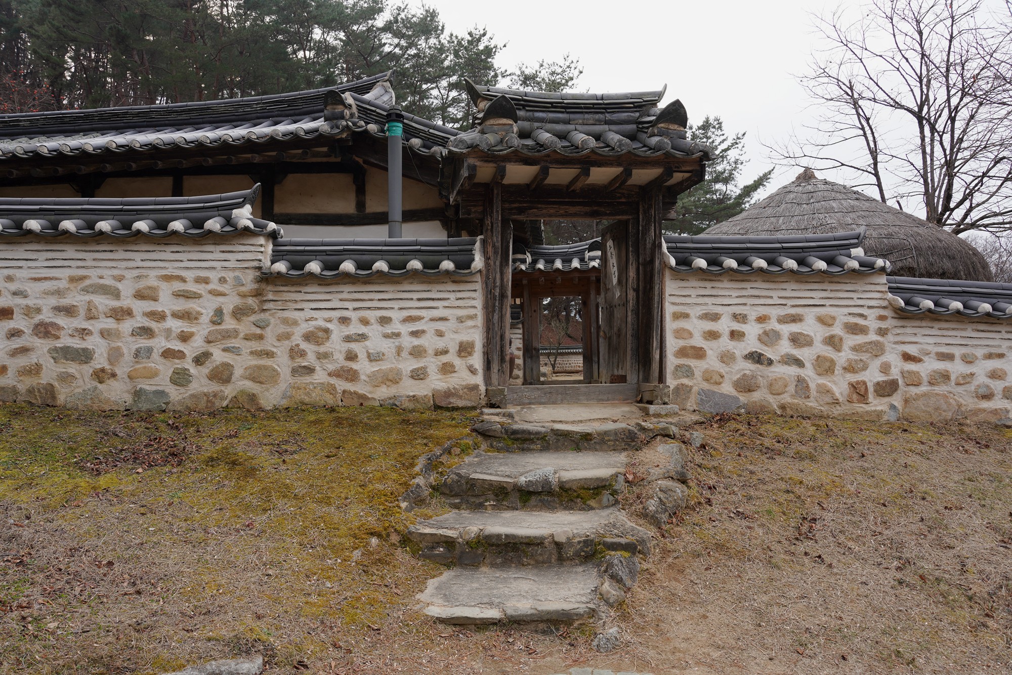 Andong 3 (67)